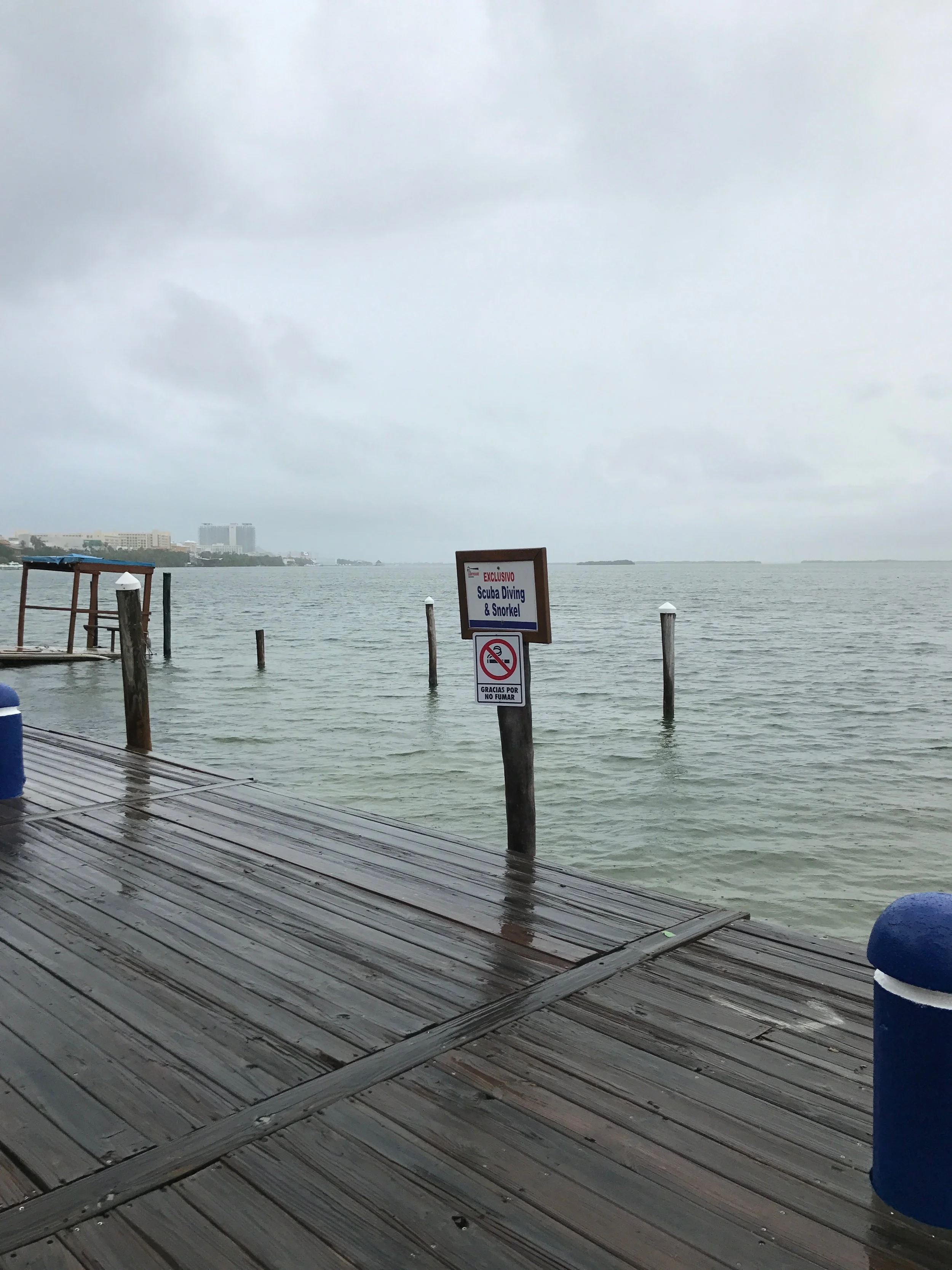 The tides were high from the rain but I couldn't stop looking at how beautiful it looked