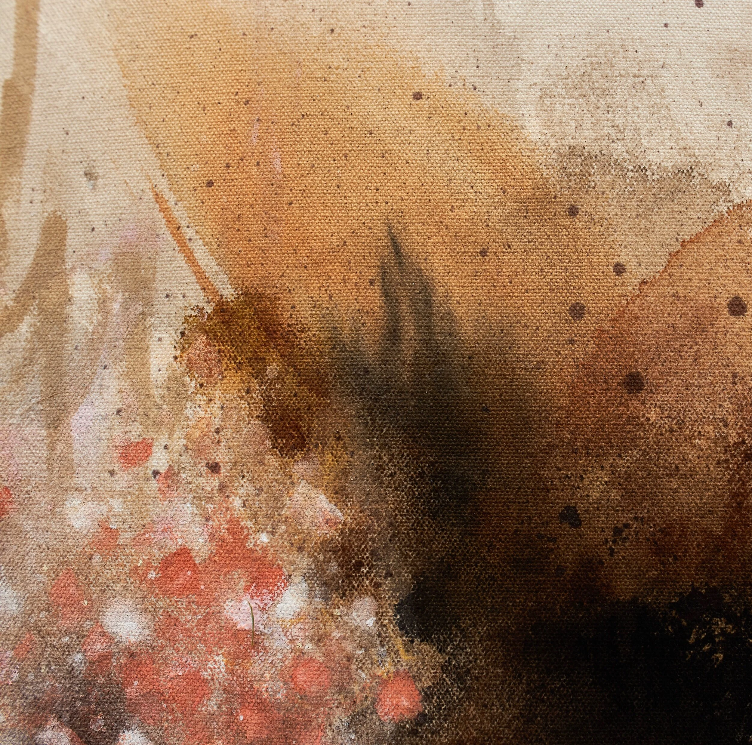 6624AA0E-9234-46B6-A4BF-DC64C92D854A