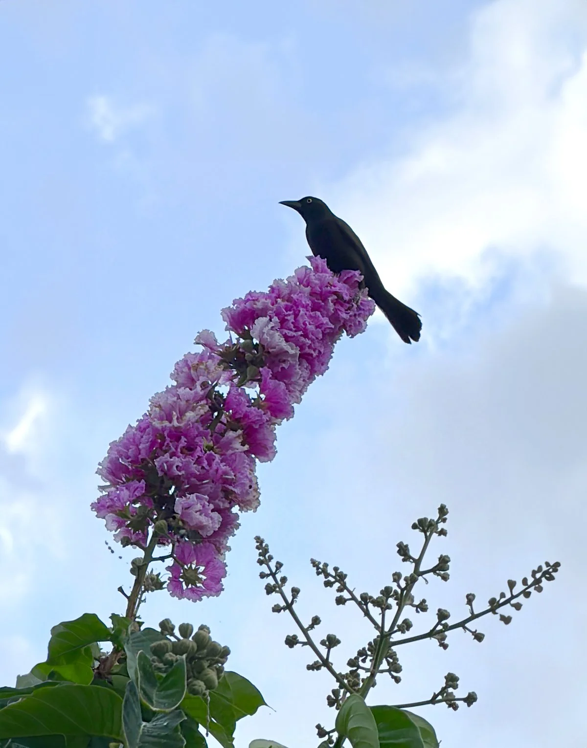 ‘quiet' seasons &amp; the in-betweens
