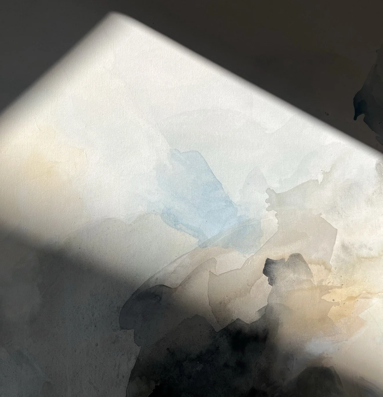 C1C0EA85-4407-4ACE-BD50-C4D14F3F7AB0.jpeg