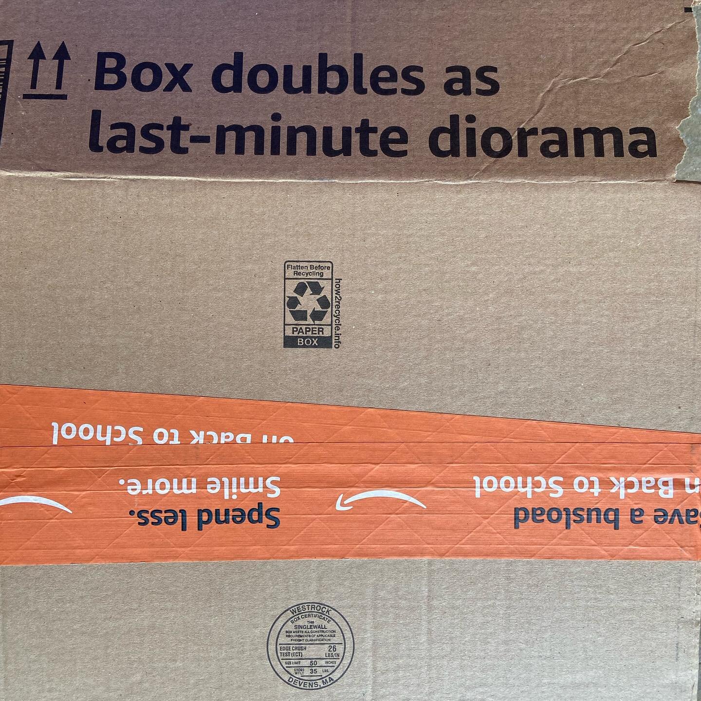 Who knew that boxes were so handy?
#diorama #box