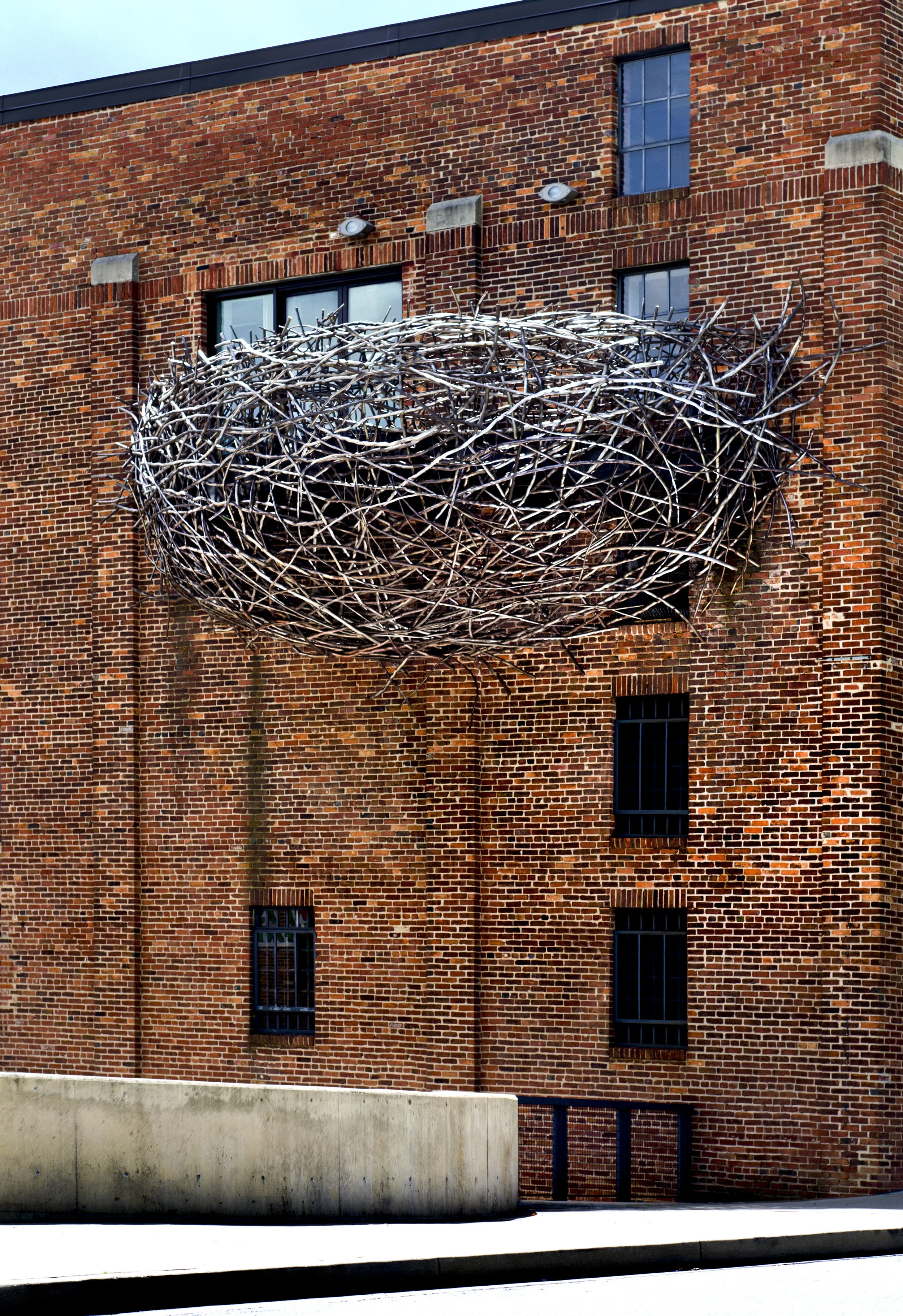 David Hess_9_Birds Nest.jpg