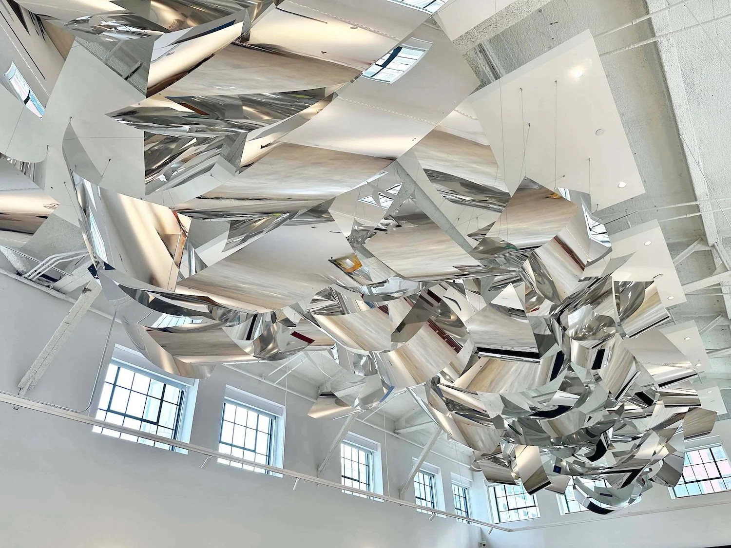 IMG_4303 1500px.jpeg