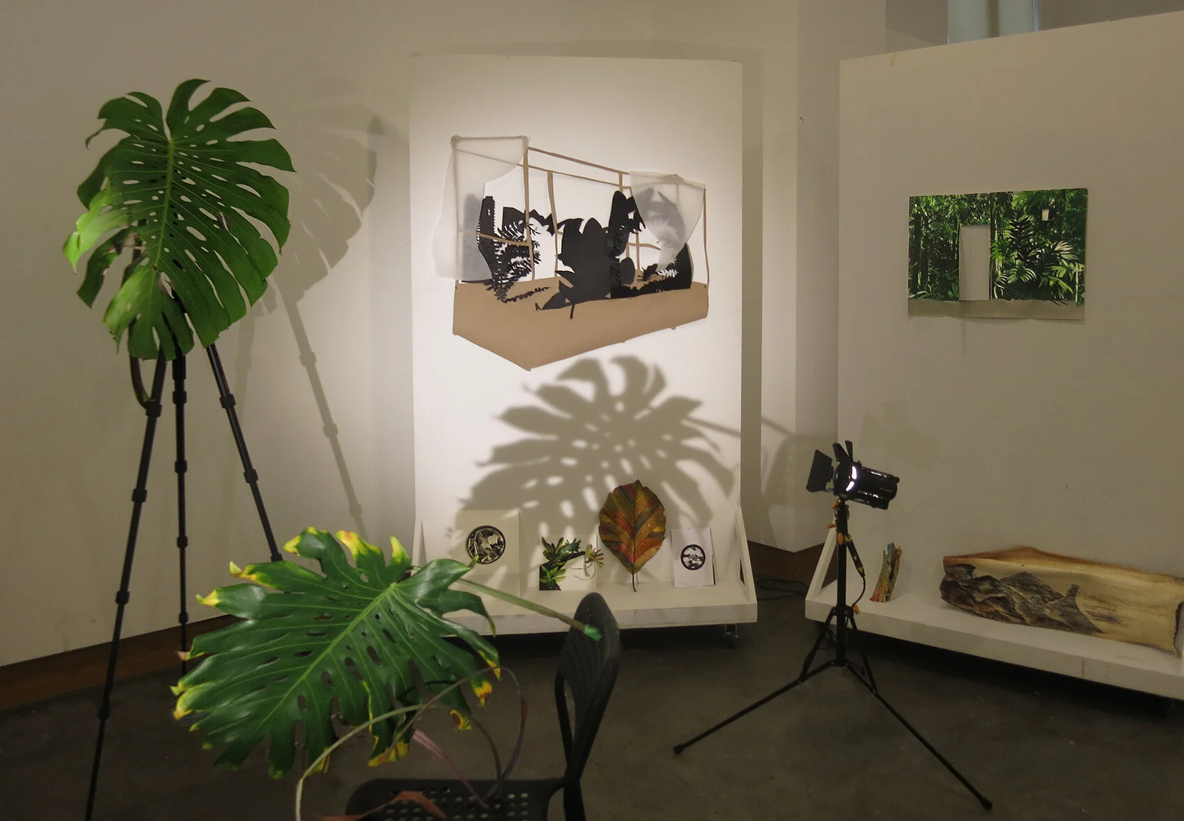 installview1.jpg