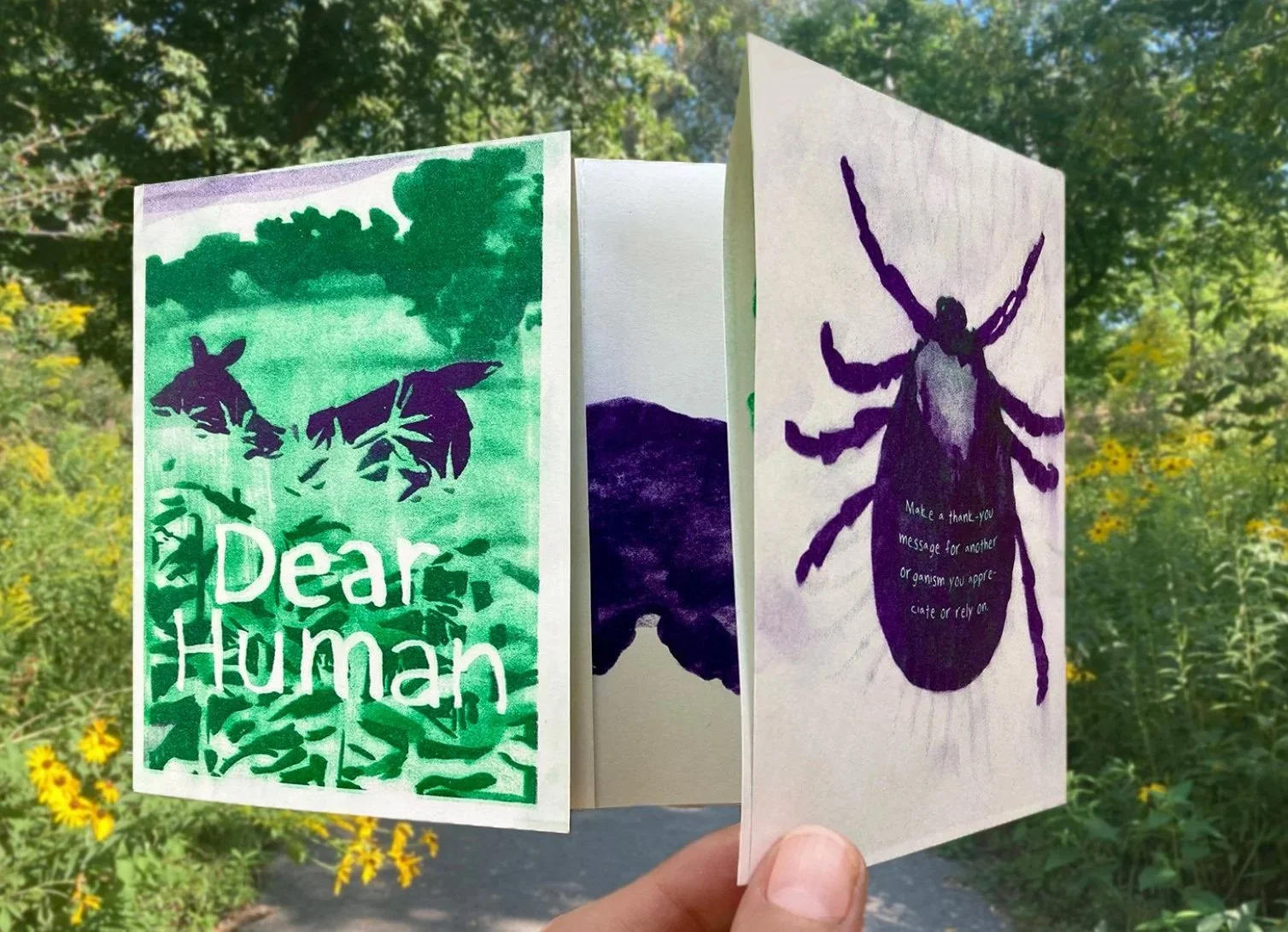 hand holding a folded paper booklet with a purple image of a deer silhouette in green grass and a purple image of a deer tick on the right