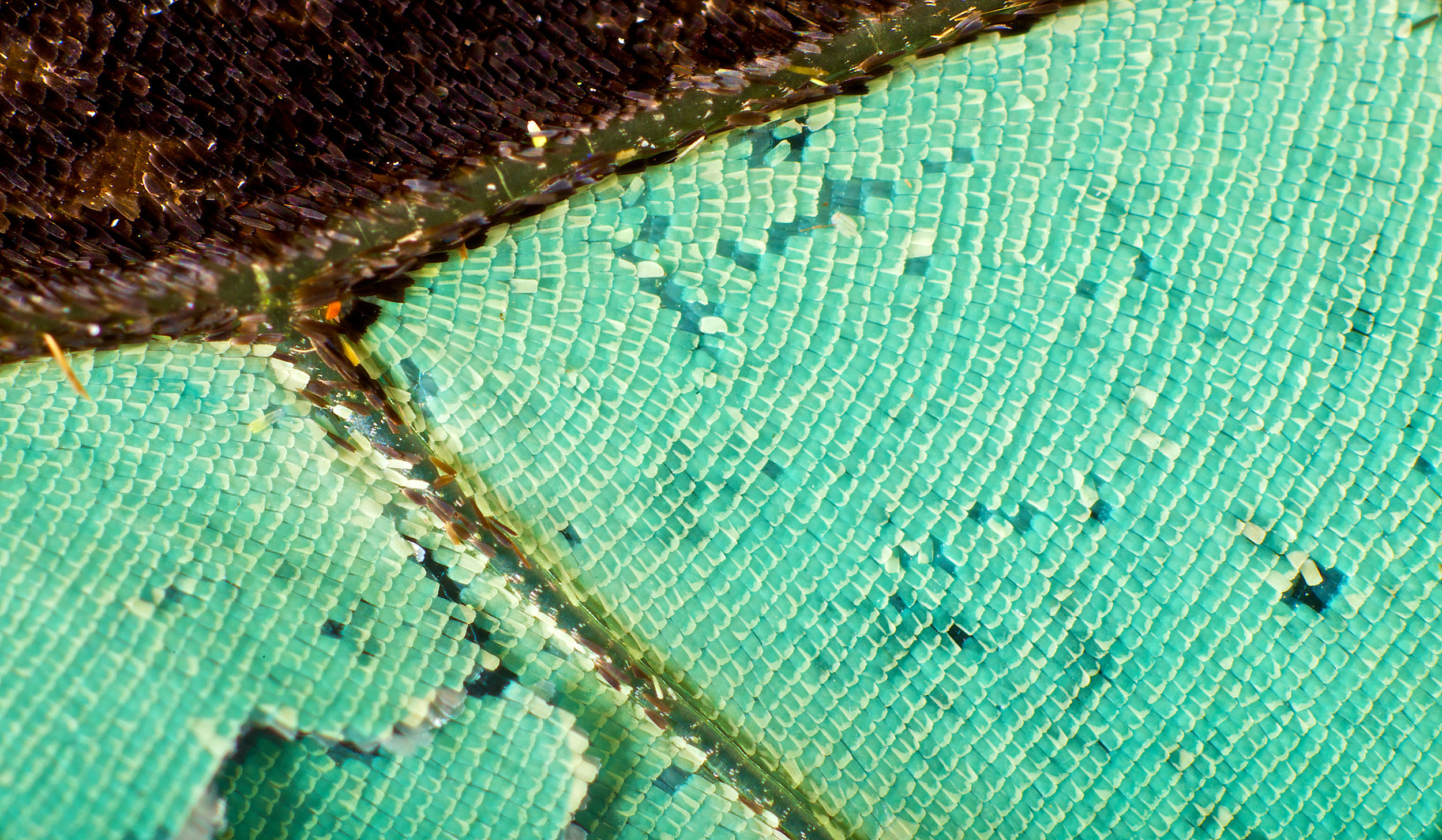 Unknown fragment
