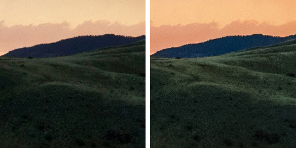 Crop Detail from Montana