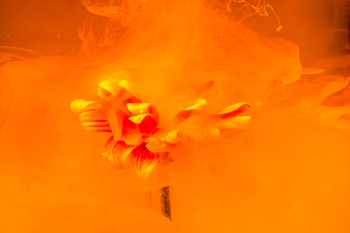 1217_FluidFlowers_8.jpg