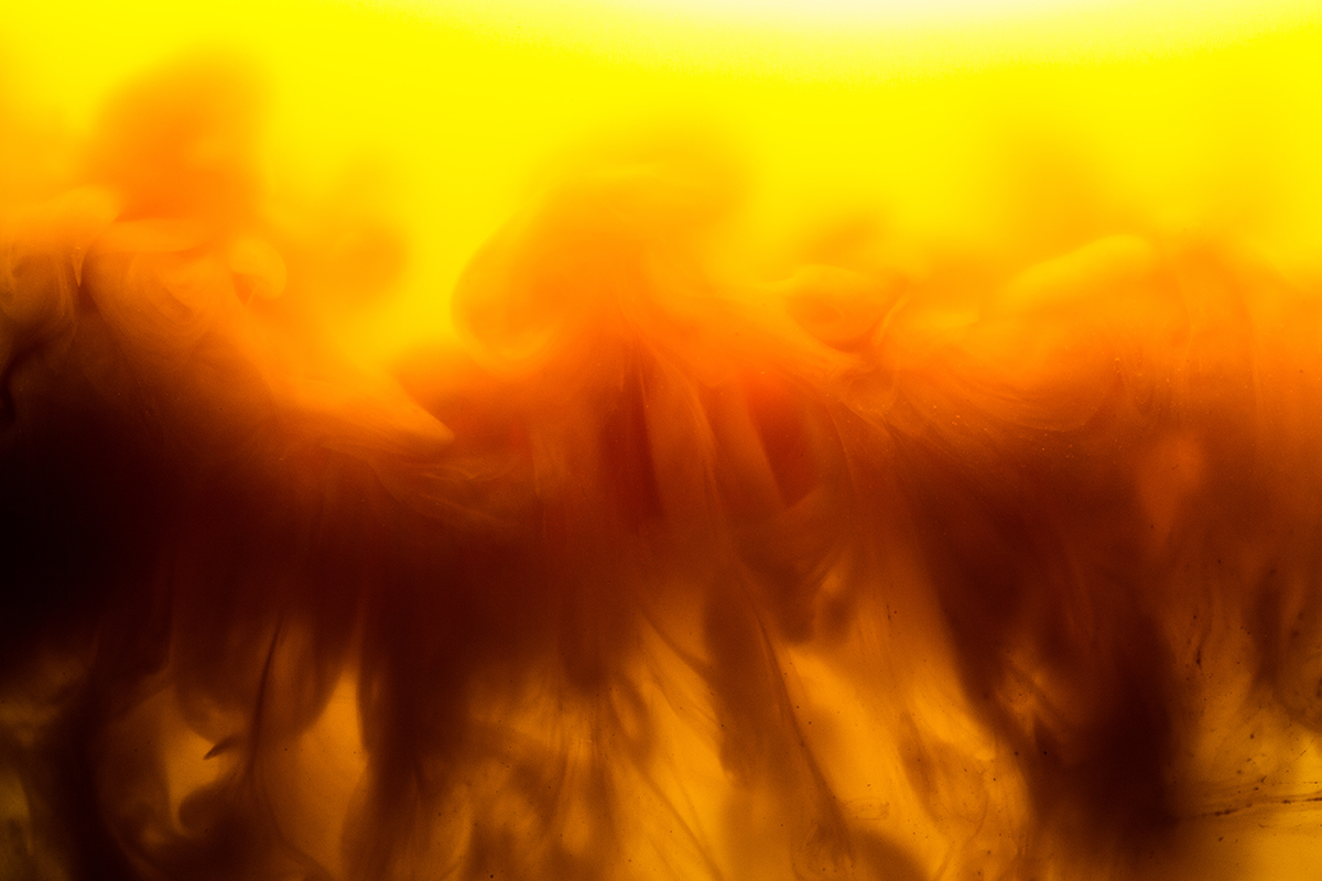 0118_FluidStudies_7820.jpg
