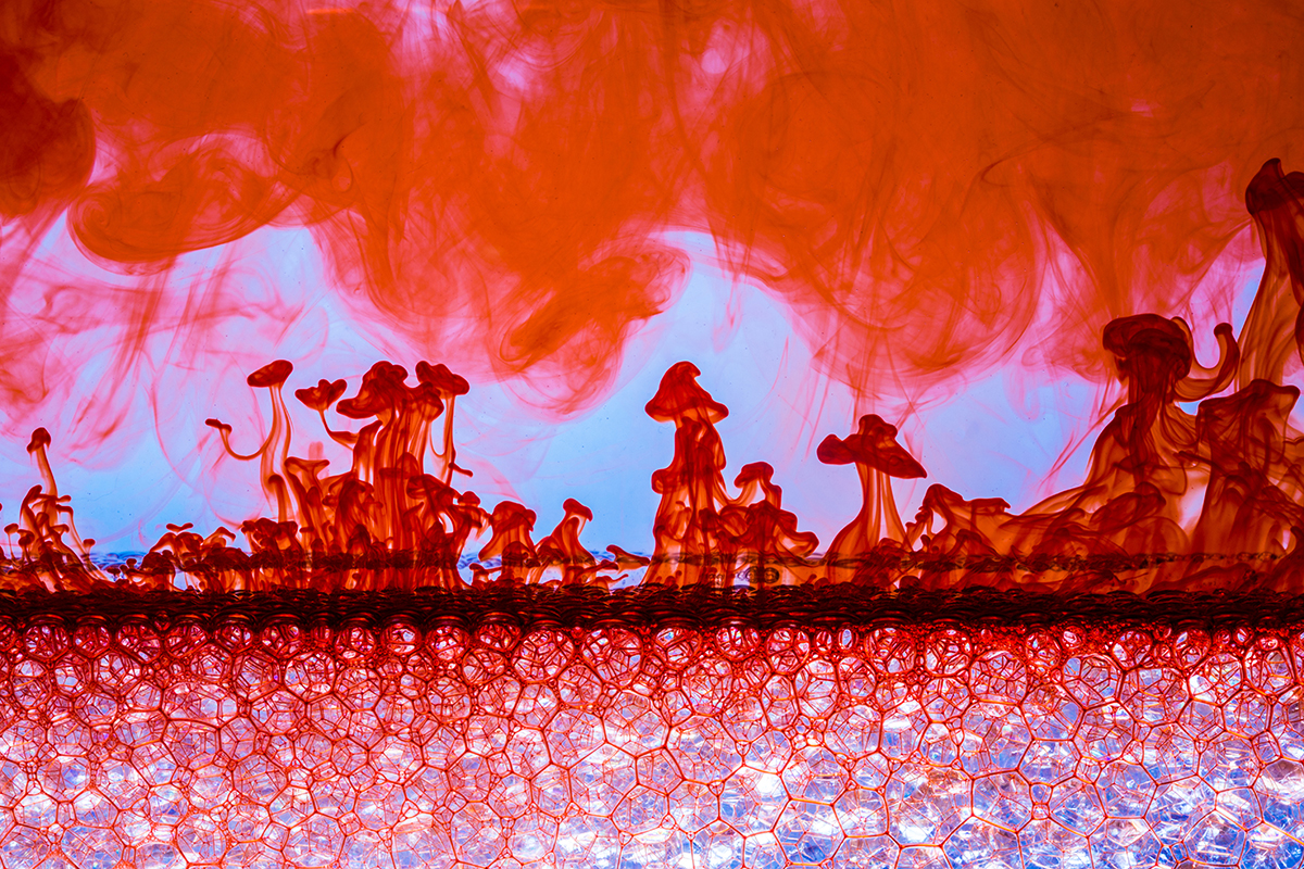 0118_FluidStudies_6754.jpg