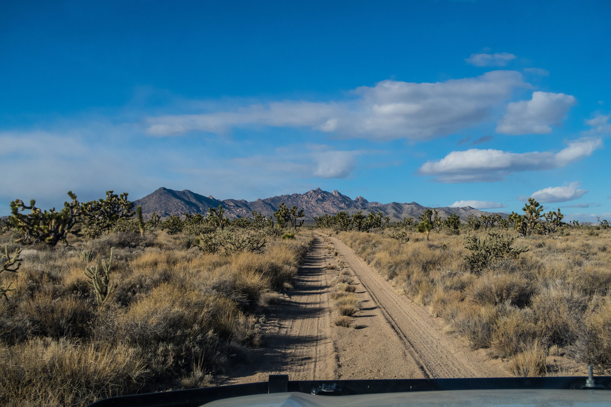 1218_200SeriesMojaveRun-1105.jpg