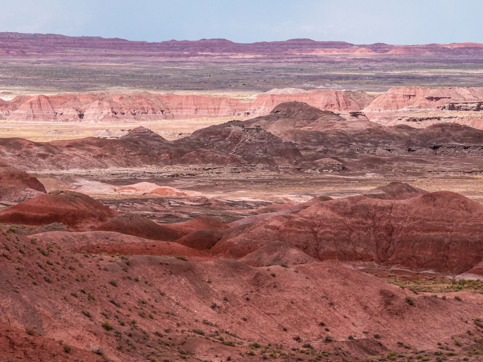 CO_Vacationmoon_PaintedDesert-1010386.jpg