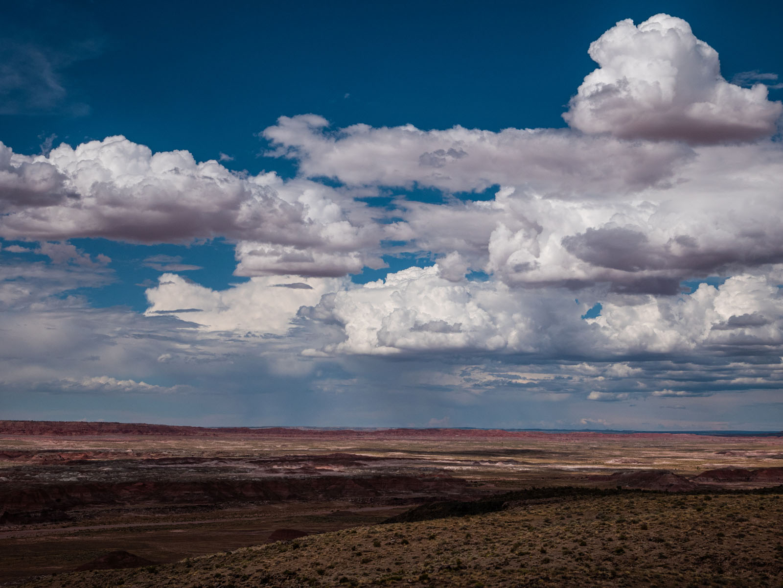 CO_Vacationmoon_PaintedDesert-1010458.jpg