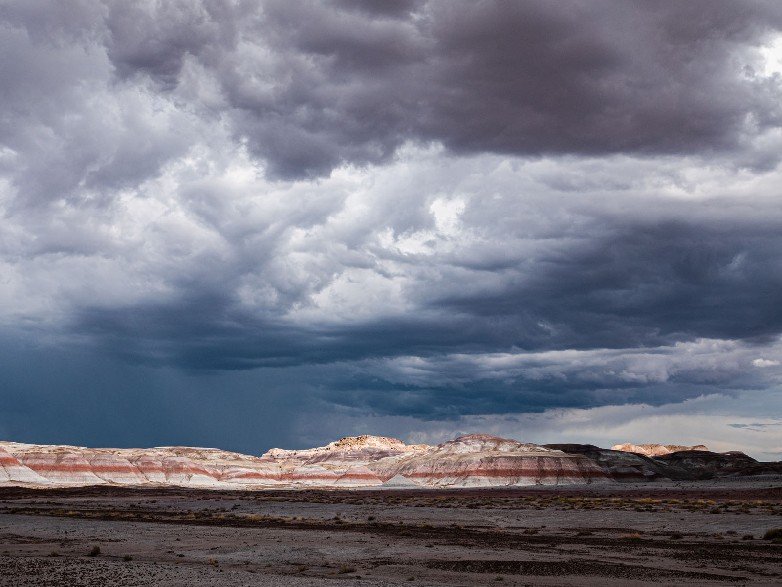 CO_Vacationmoon_PaintedDesert-1010477.jpg