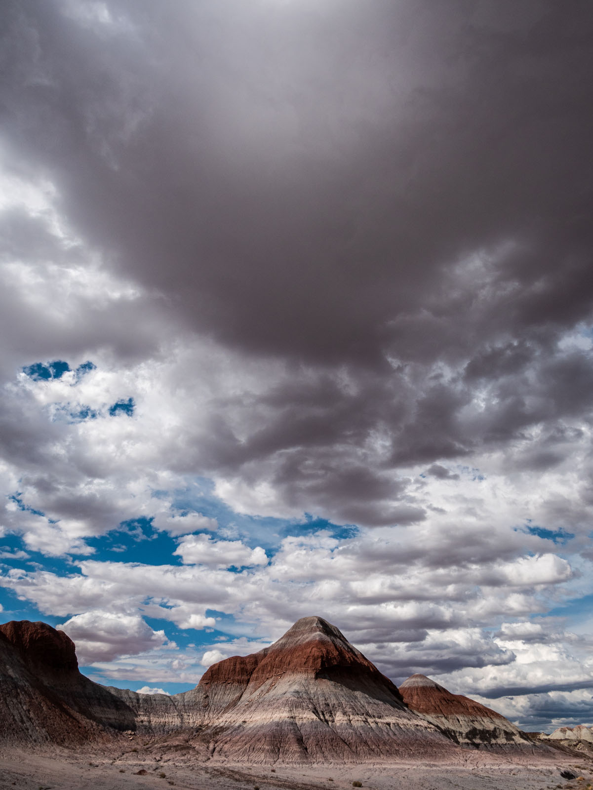 CO_Vacationmoon_PaintedDesert-1010485.jpg