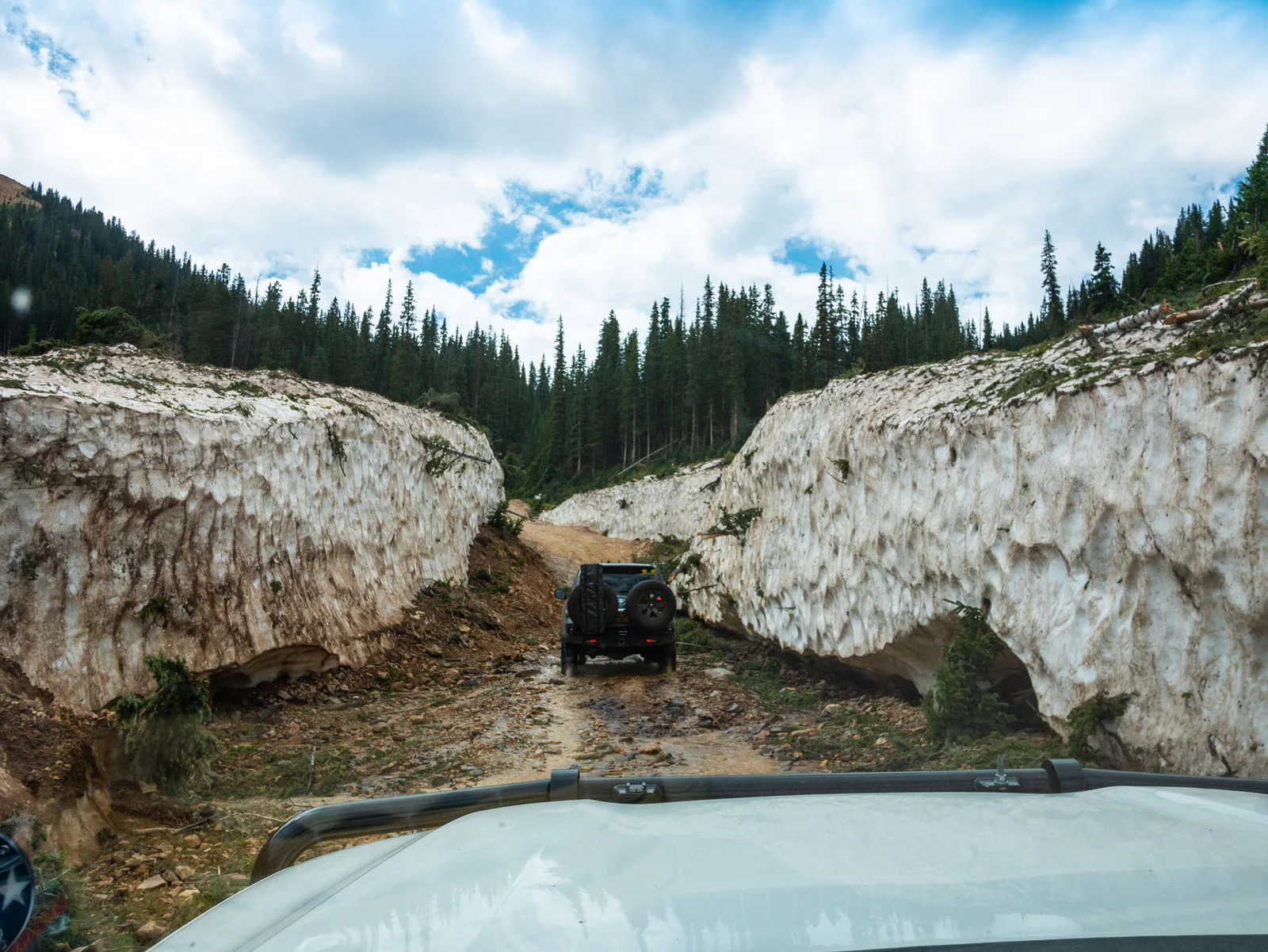 CO_Vacationmoon_200LCDC_Trucks-1000790.jpg