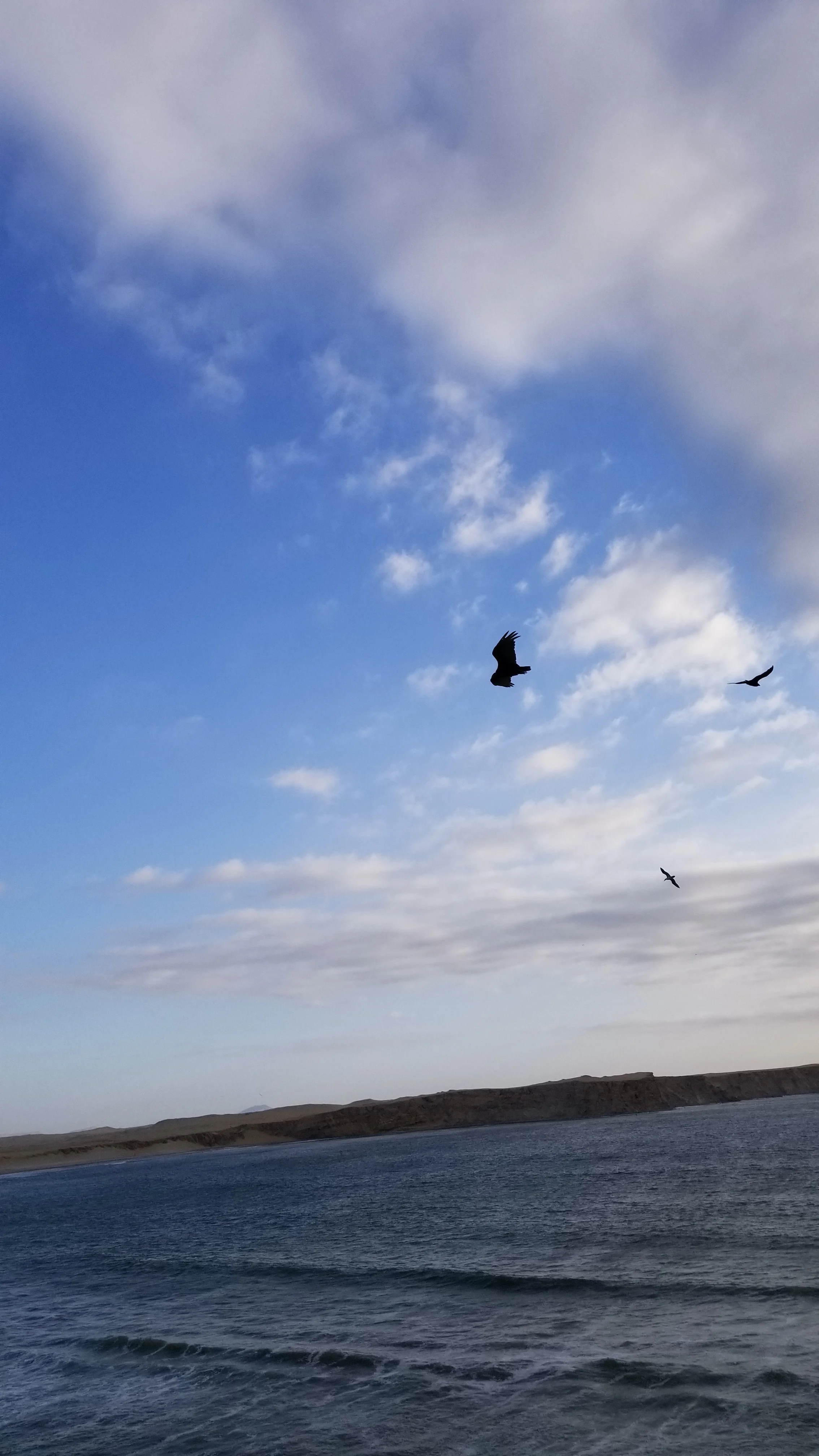 20171104_170916.jpg