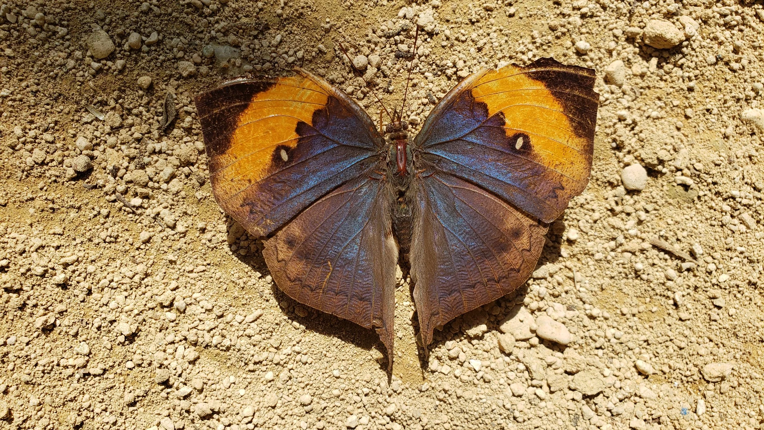 20190124_125810.jpg