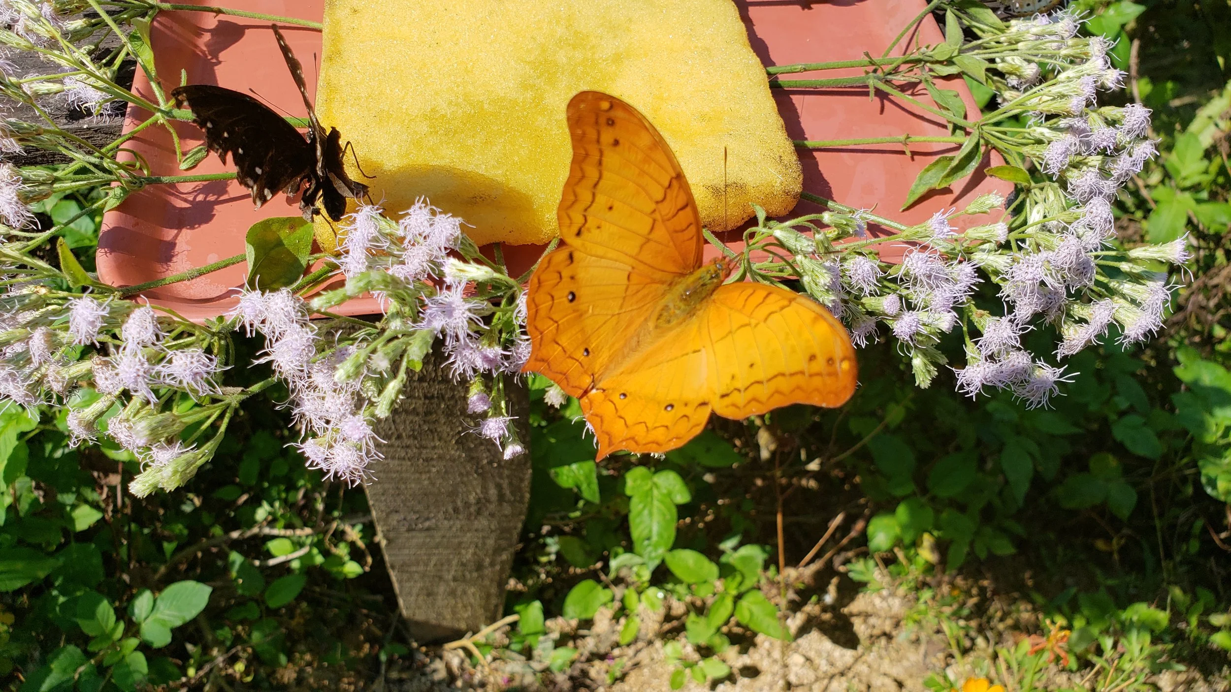 20190124_124210.jpg