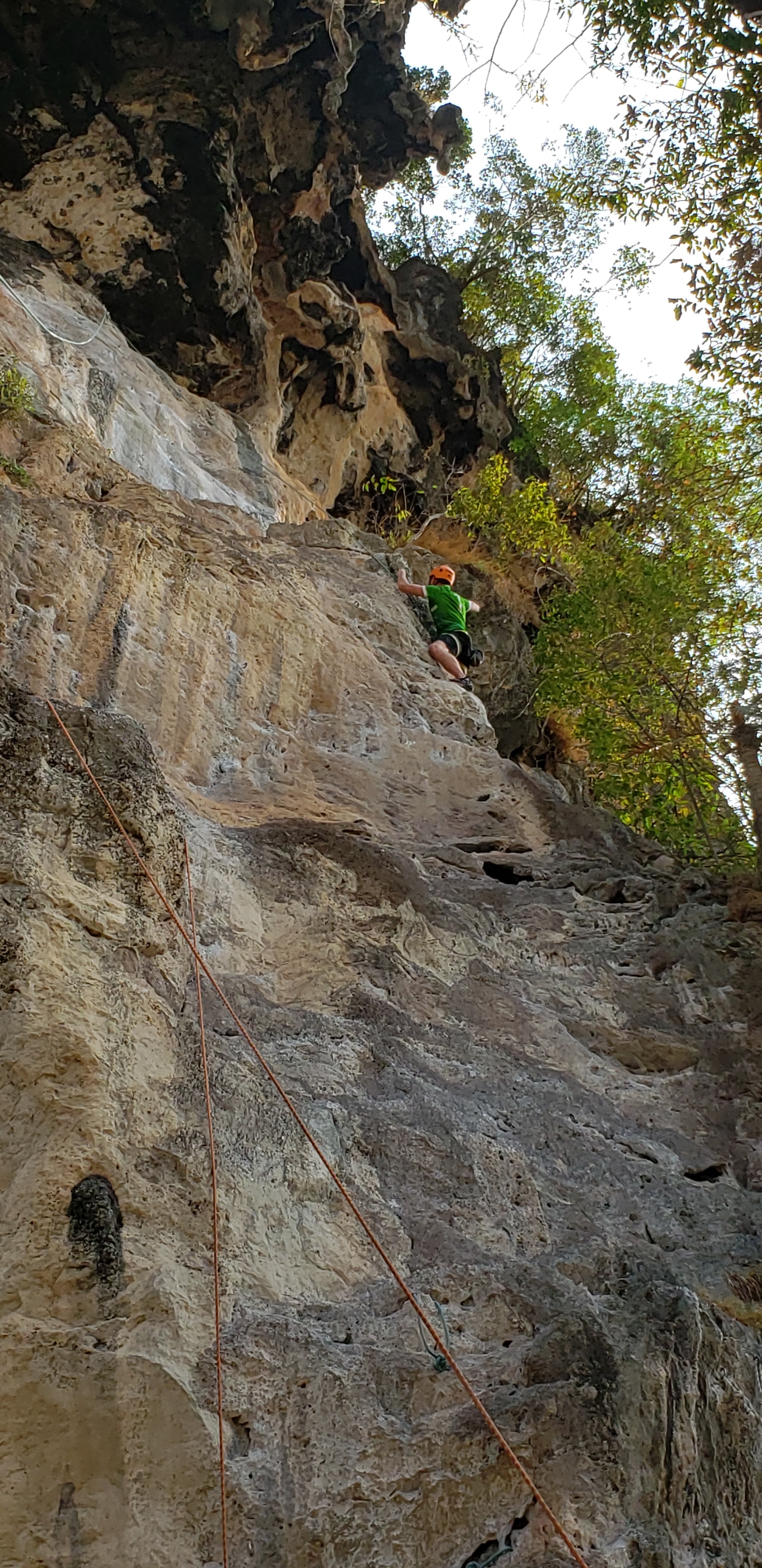 20190320_160705.jpg