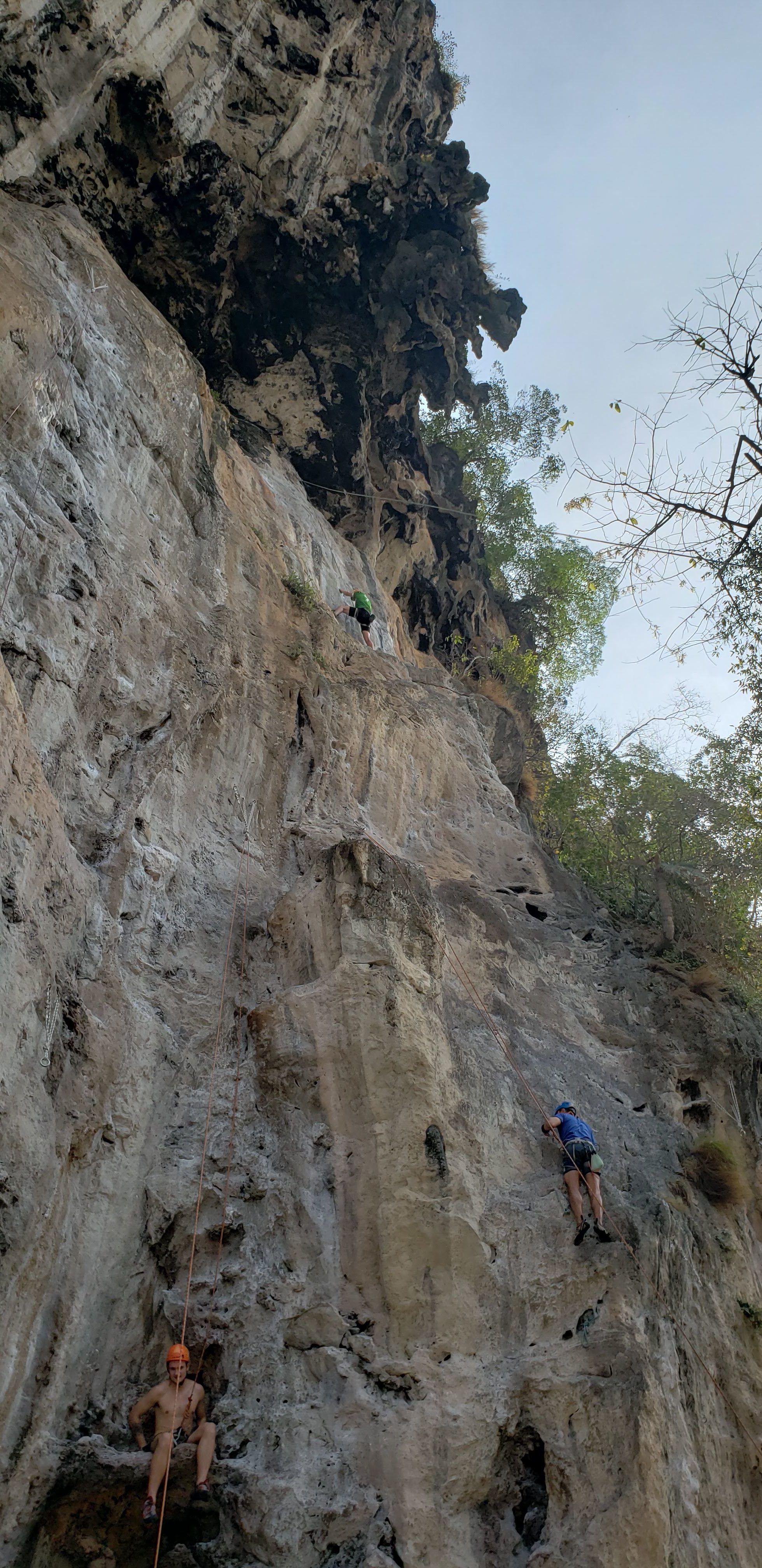 20190320_160959.jpg