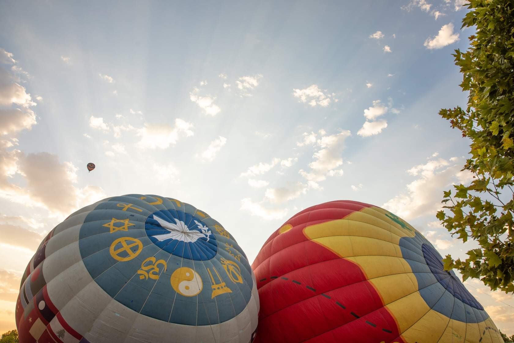 Hot Air Balloon Day!