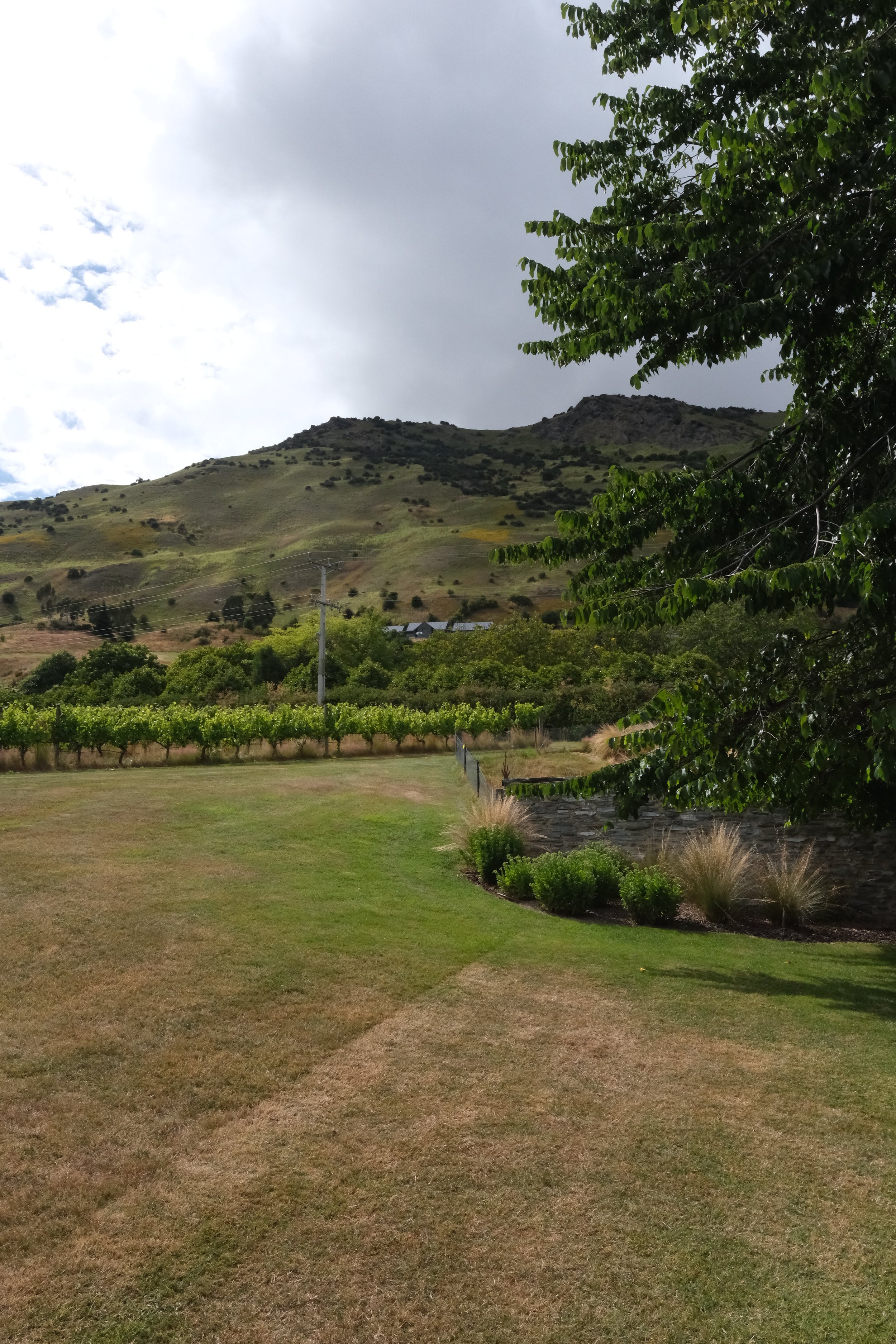 DSCF4797.jpg
