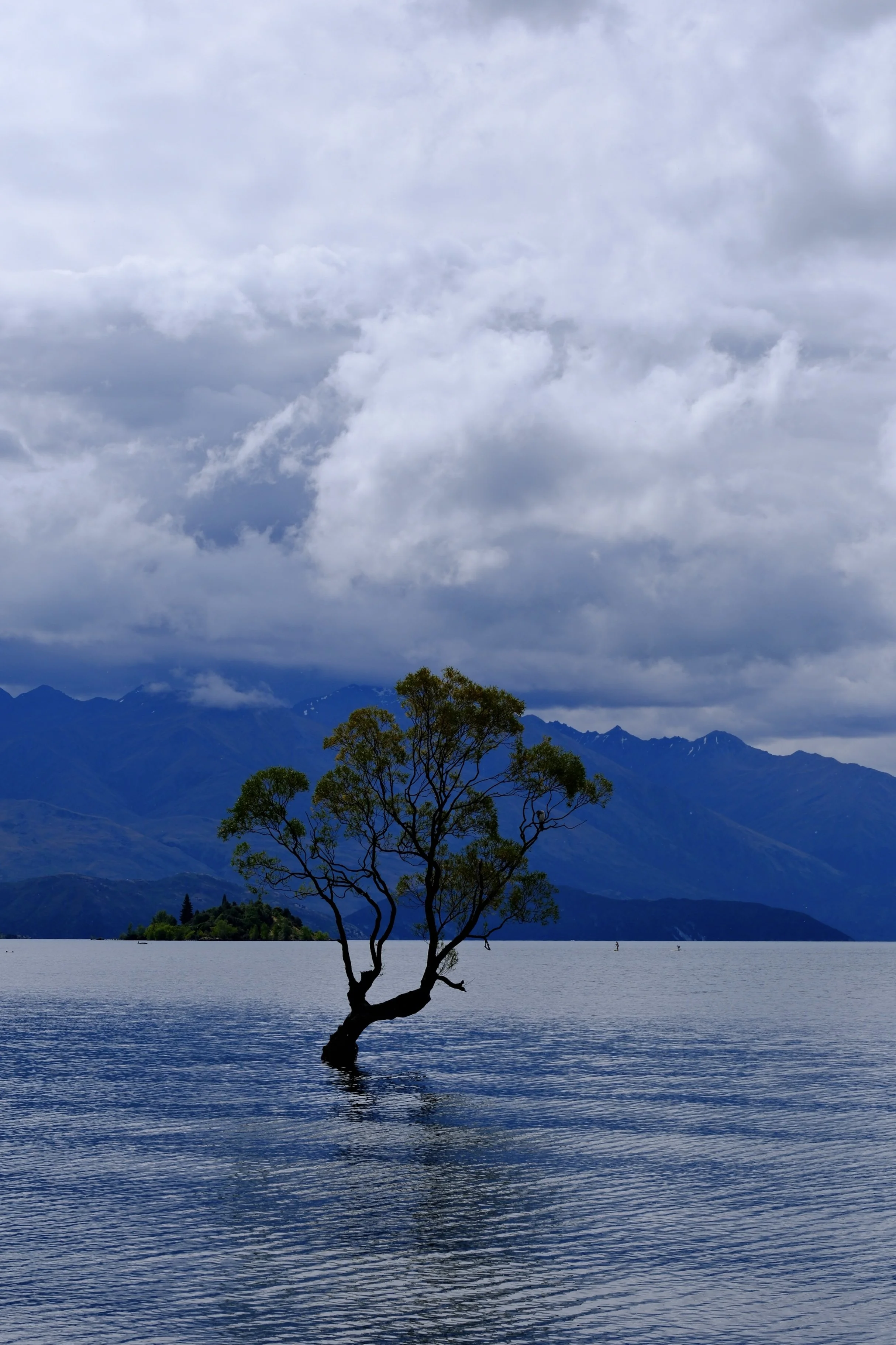 DSCF4822.jpg