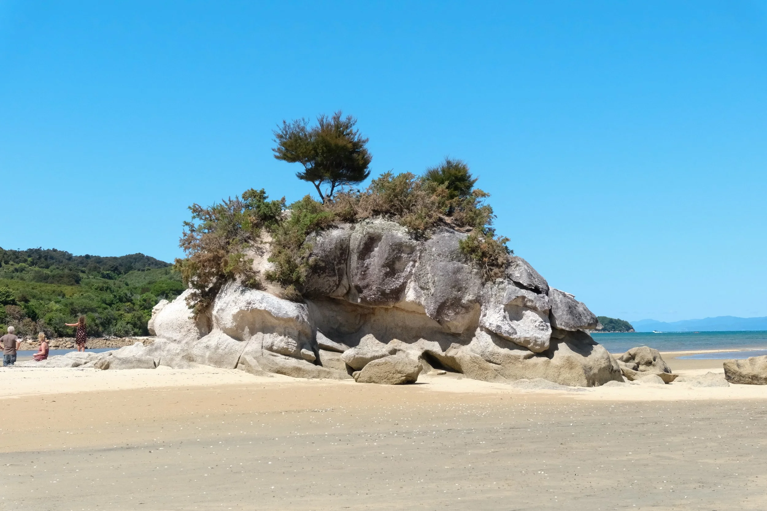 DSCF5090.JPG