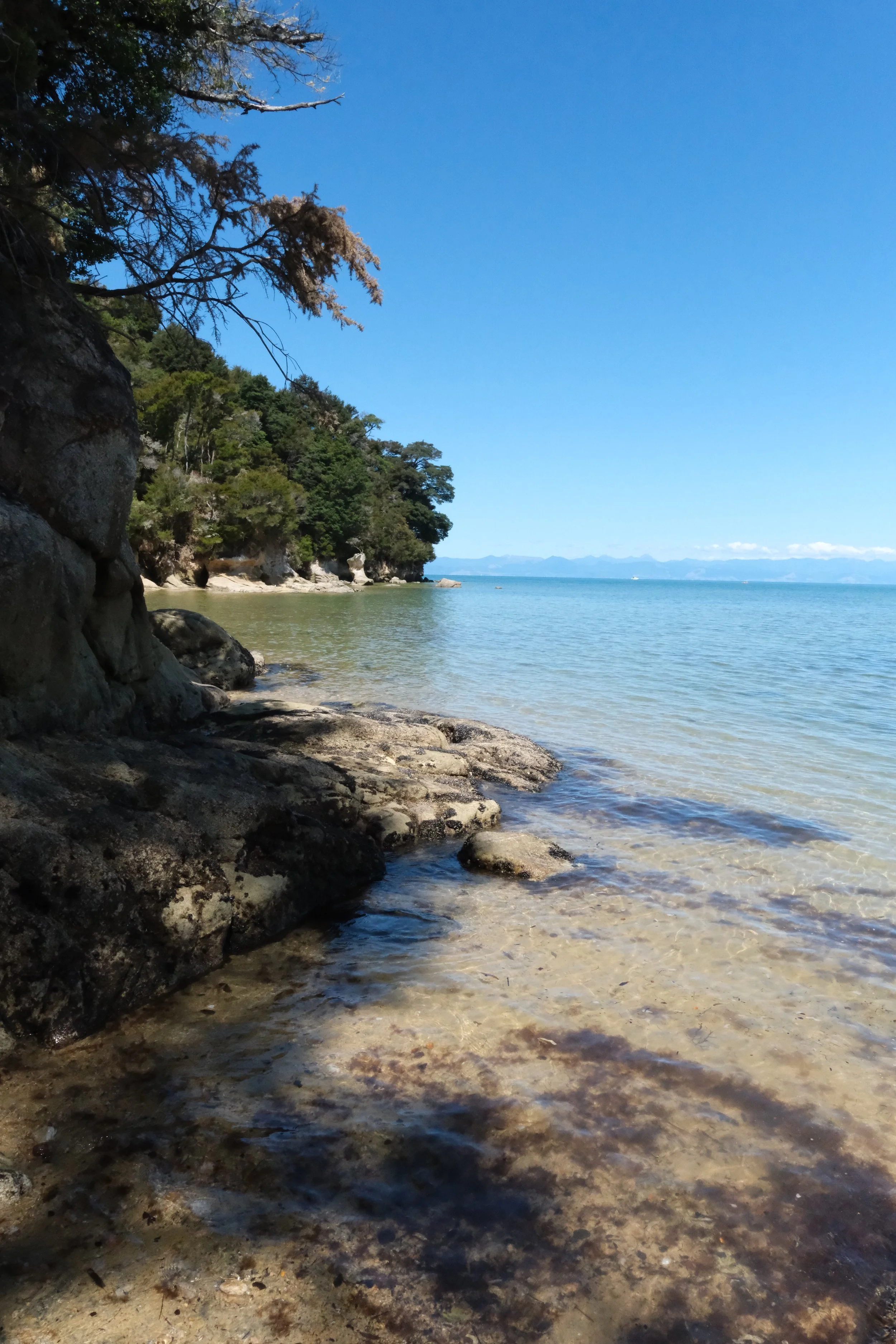 DSCF5195.jpg