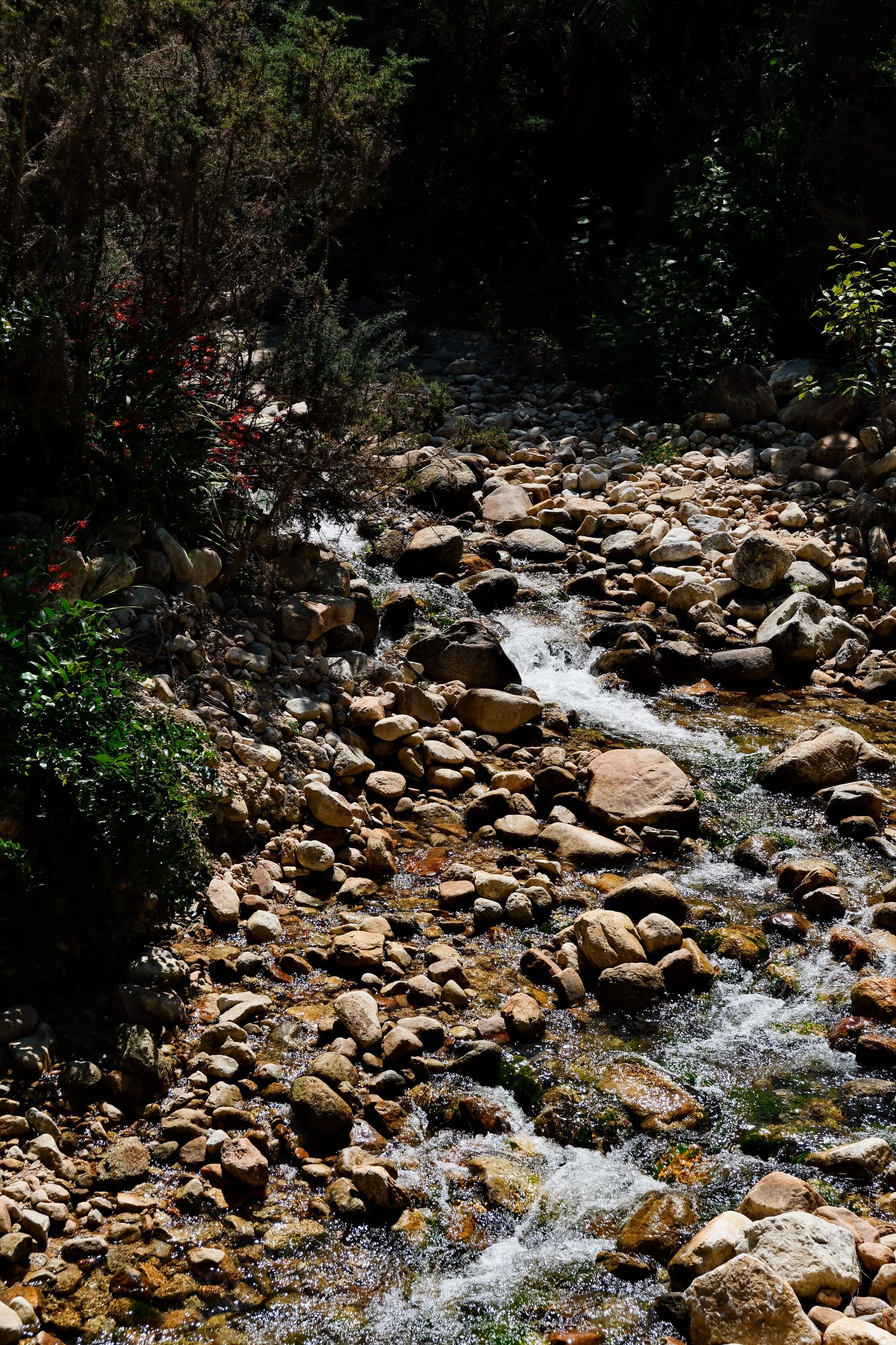 DSCF5167.JPG