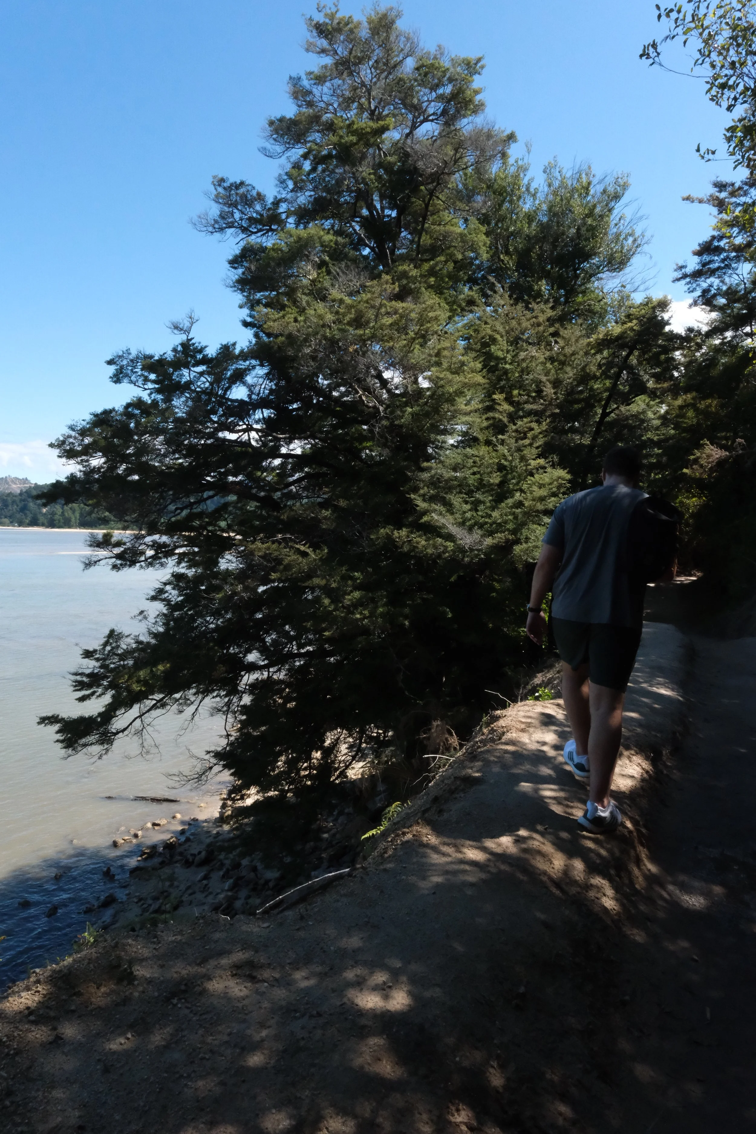 DSCF5205.jpg