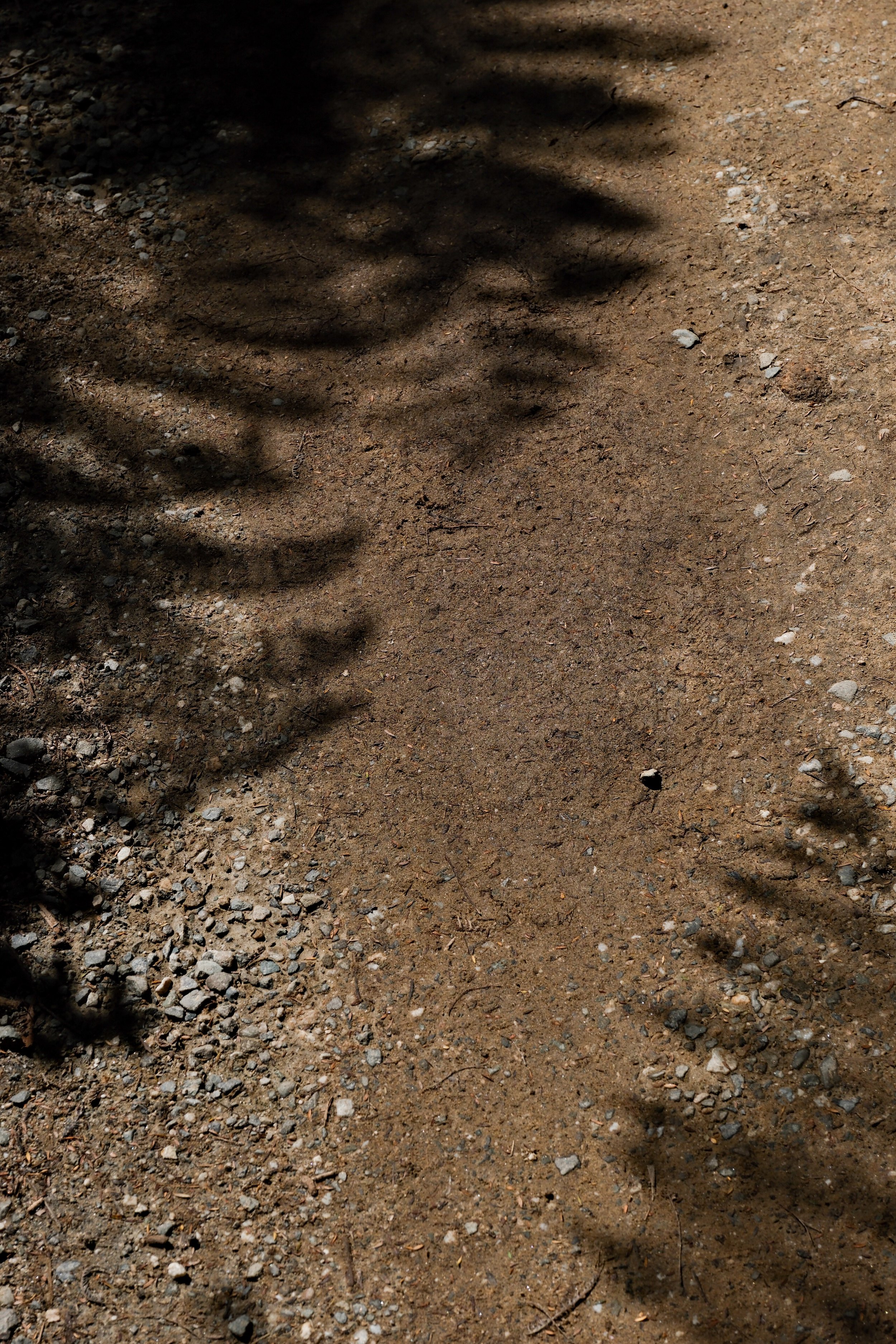 DSCF5212.JPG