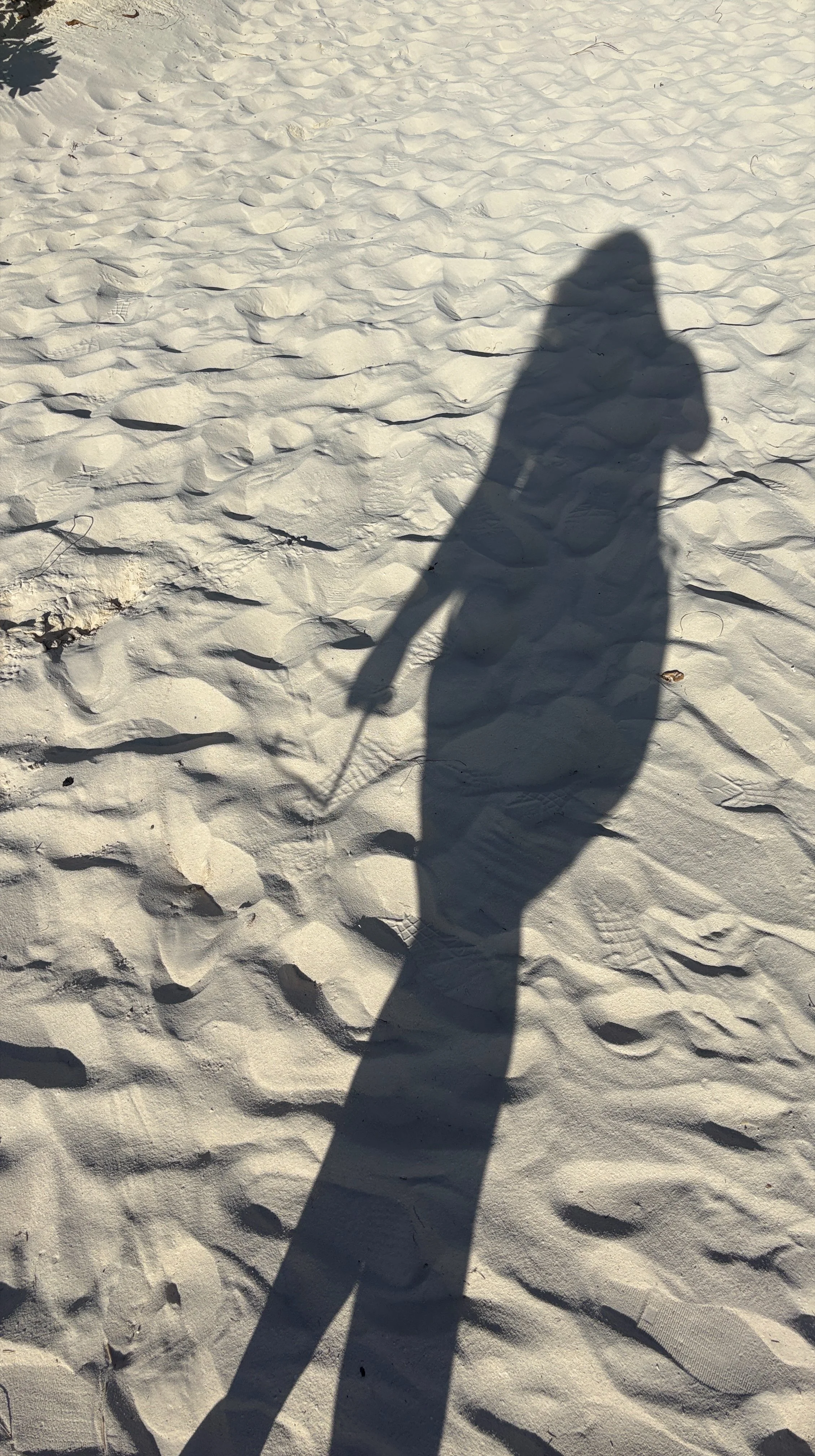 IMG_2025_11_25-16_12_46_9840_7EF38D5B.jpeg