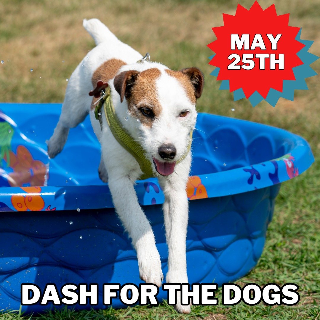 We're already in the month of May and coming up at the &quot;tail&quot; end of it is a great event benefitting an even better cause (plus, dogs are involved...yay!). 🐾

The First Annual &quot;Dash for the Dogs&quot;  event will be Saturday, May 25th