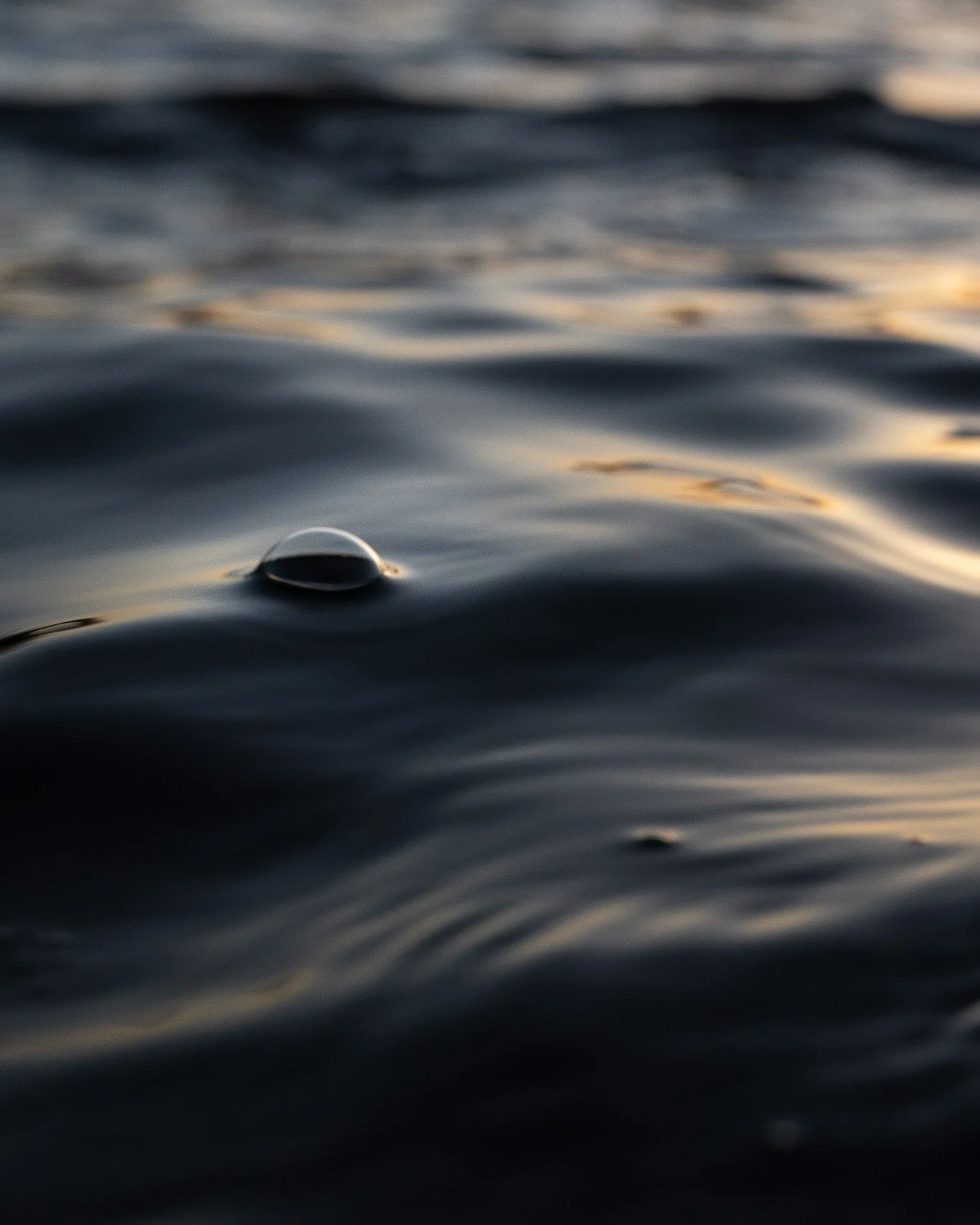 Water. Aqua. H2O. 
However you refer to it, there's no denying that it serves as the lifeblood of Rome. After all, what's Rome without its four lakes or all the fun we have when we play in and on it?  As precious and abundant of a resource it may be,