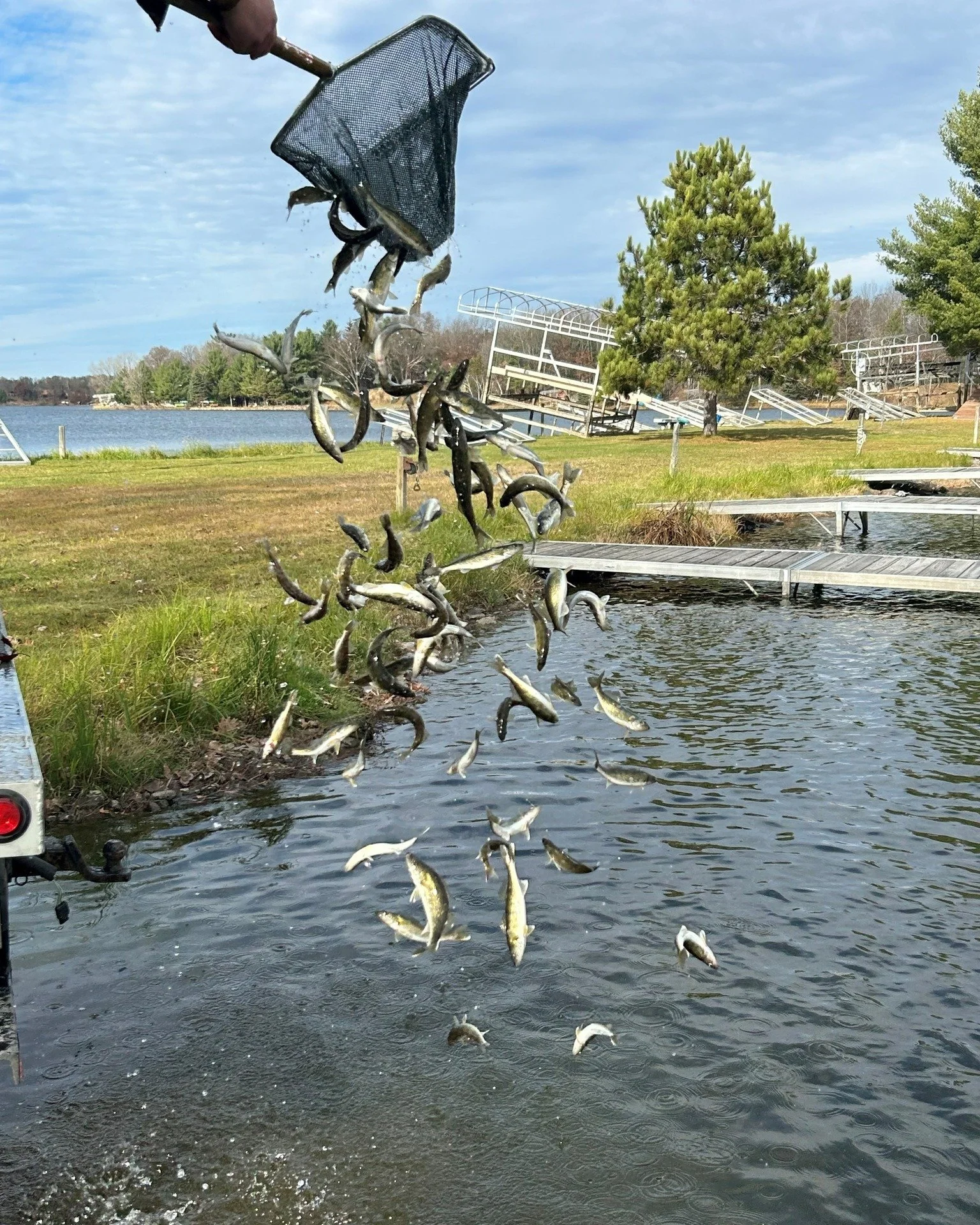 Visit Rome Grants in Action... after a year-long effort to improve the fish habitat in Lake Arrowhead, a volunteer group along with the DNR released 1,500 walleyes ranging from 8"-10" into the marina this past weekend. To round out this eff