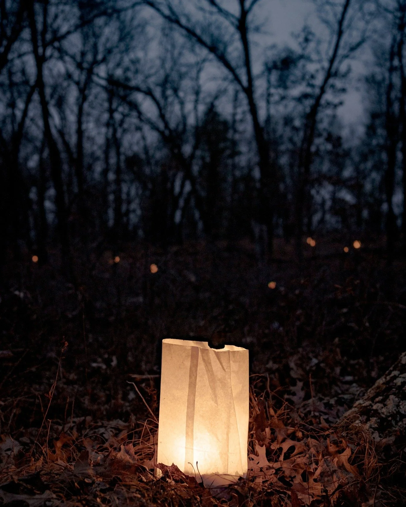 Remember to join us TONIGHT at Tri-Norse Winter Park for the first "Candlelight Hike" of the colder seasons! From 6-8 PM, trek around the trails of Tri-Norse dotted with dozens of twinkling lights, feel the crisp autumn air, and enjoy cocoa