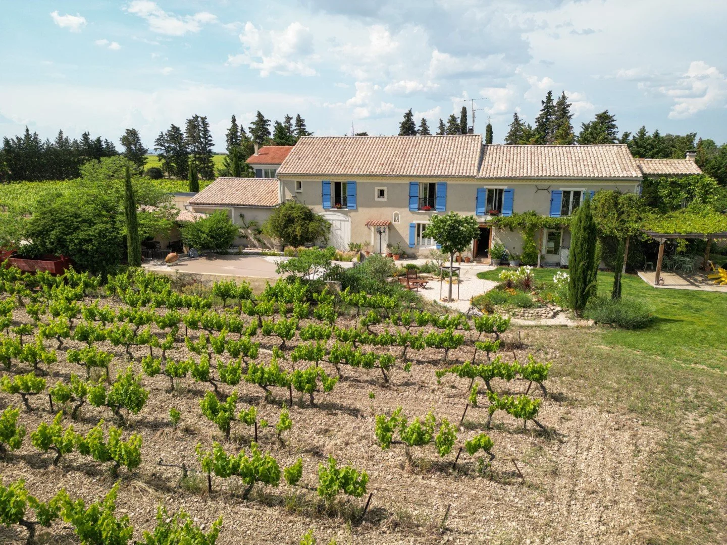 Rouge Bleu Wine Dinner