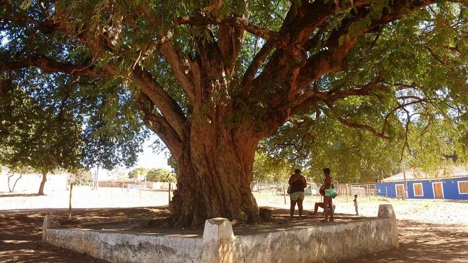 WhatsApp Image 2020-02-12 at 21.49.01.jpeg