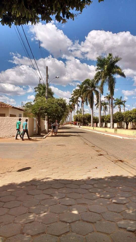 WhatsApp Image 2020-02-12 at 21.49.32.jpeg