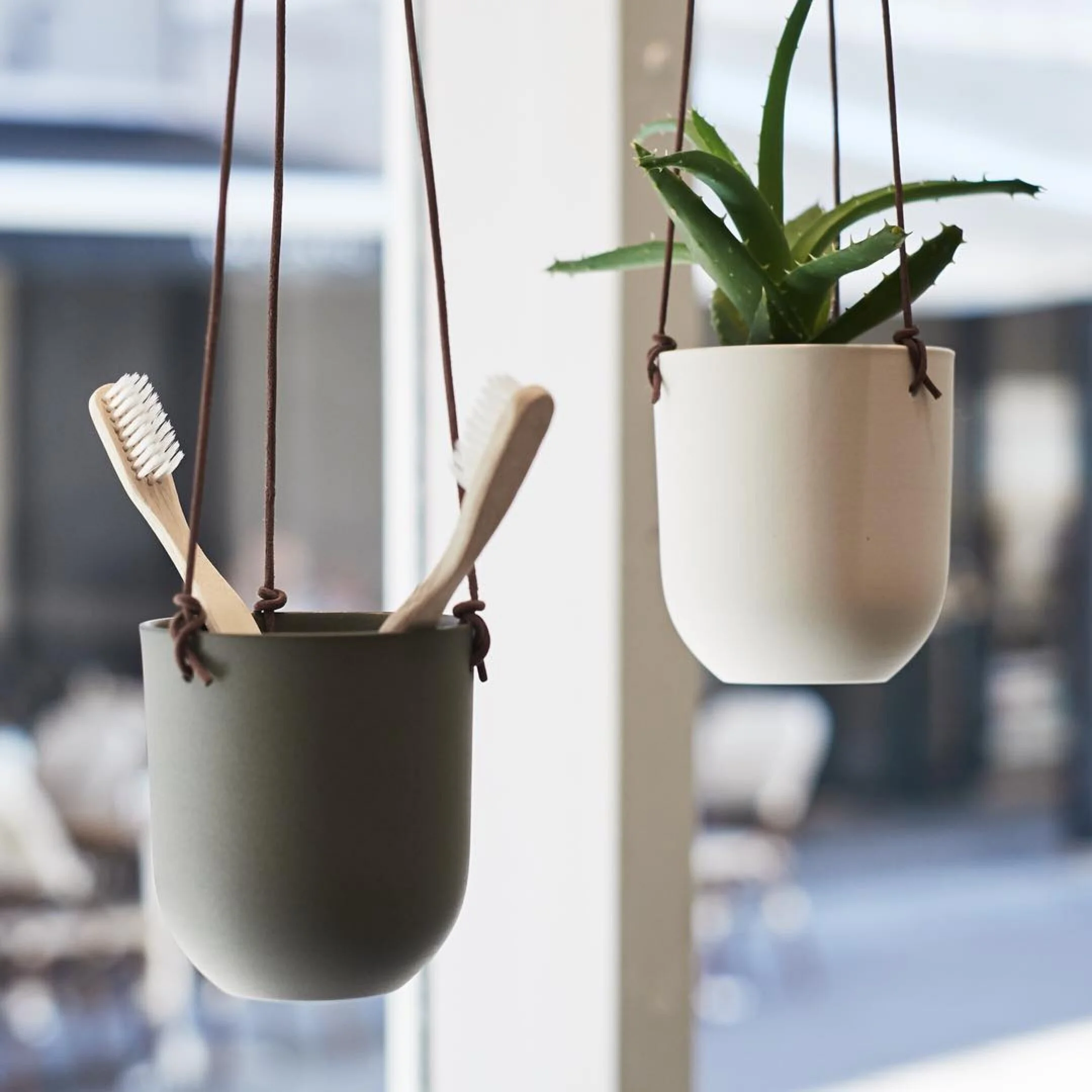 Ceramic hanging planter with plant and toothbrushes