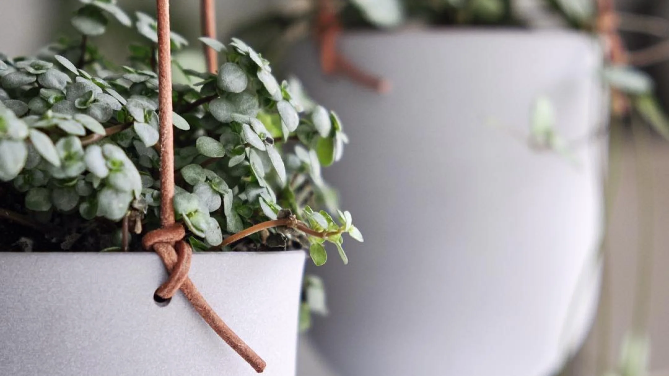 Scandinavian hanging pot with natural leather strap