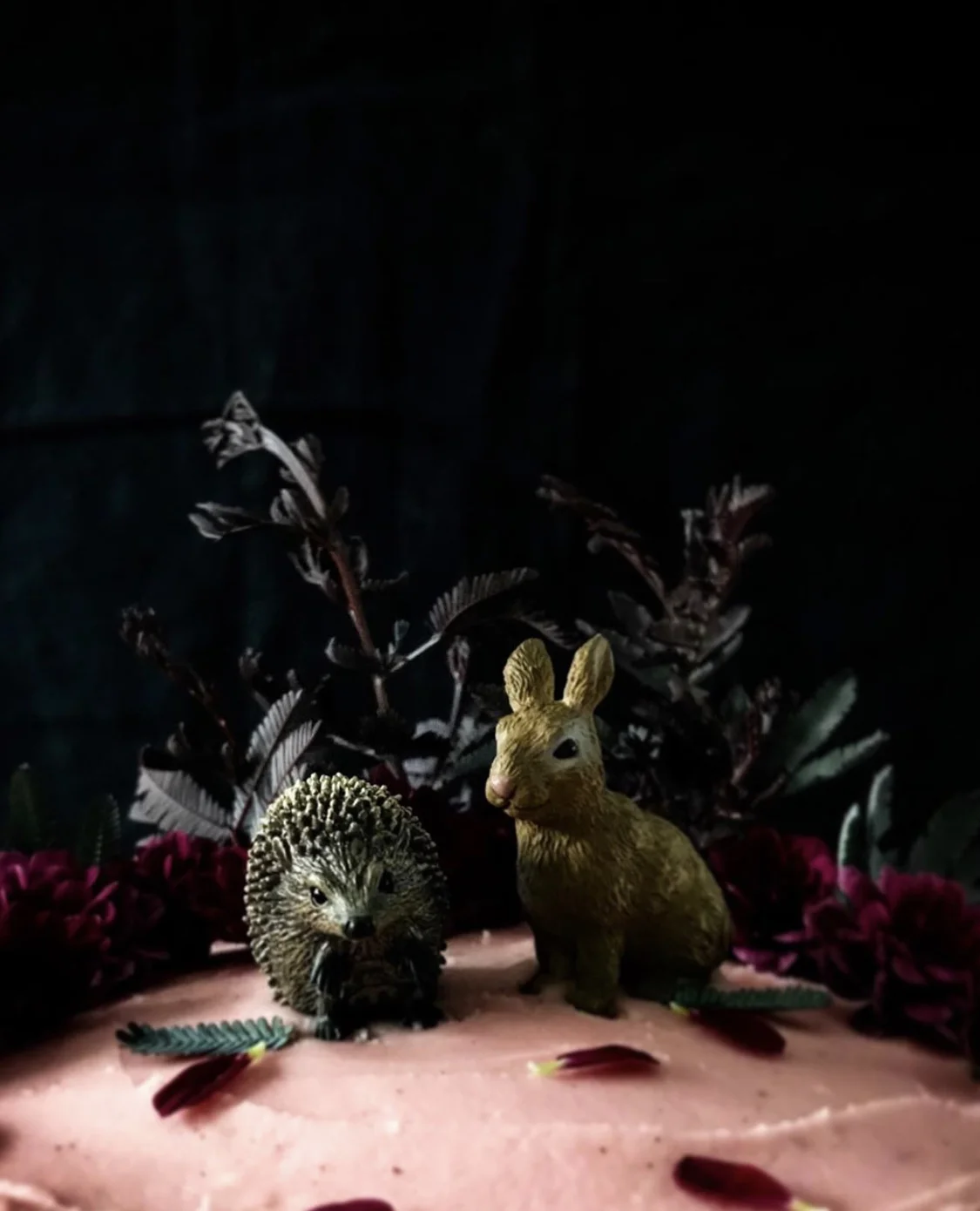 close hedgehog + bunny.jpg