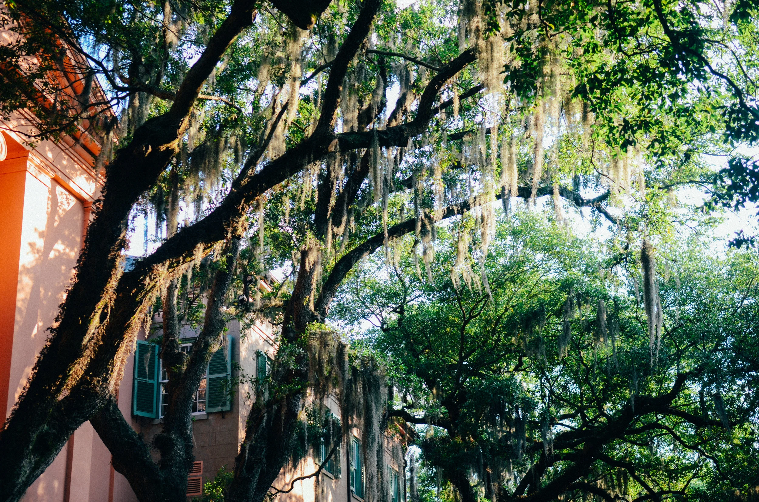 CharlestonVenture-33.jpg