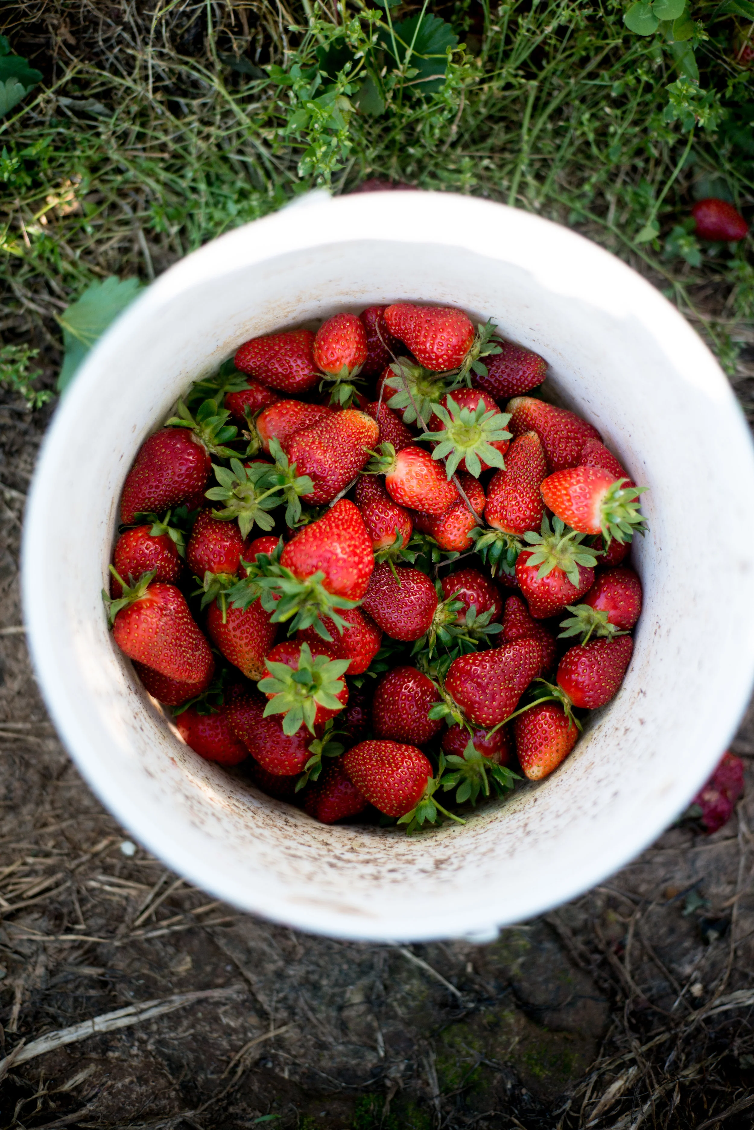 JulyRecipe-14.jpg