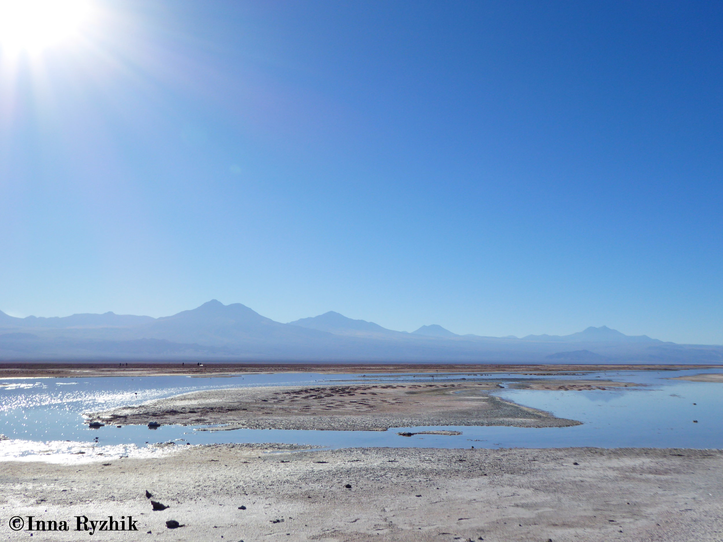 Laguna Chaxa, Reserva Nacional de Flamencos / Chaxa Lagoon, Los Flamencos National Reserve 