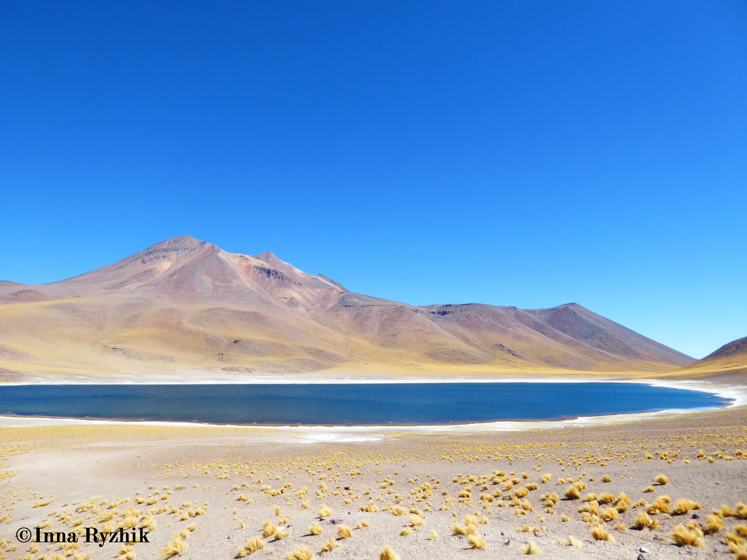 Laguna Miñiques, Atacama