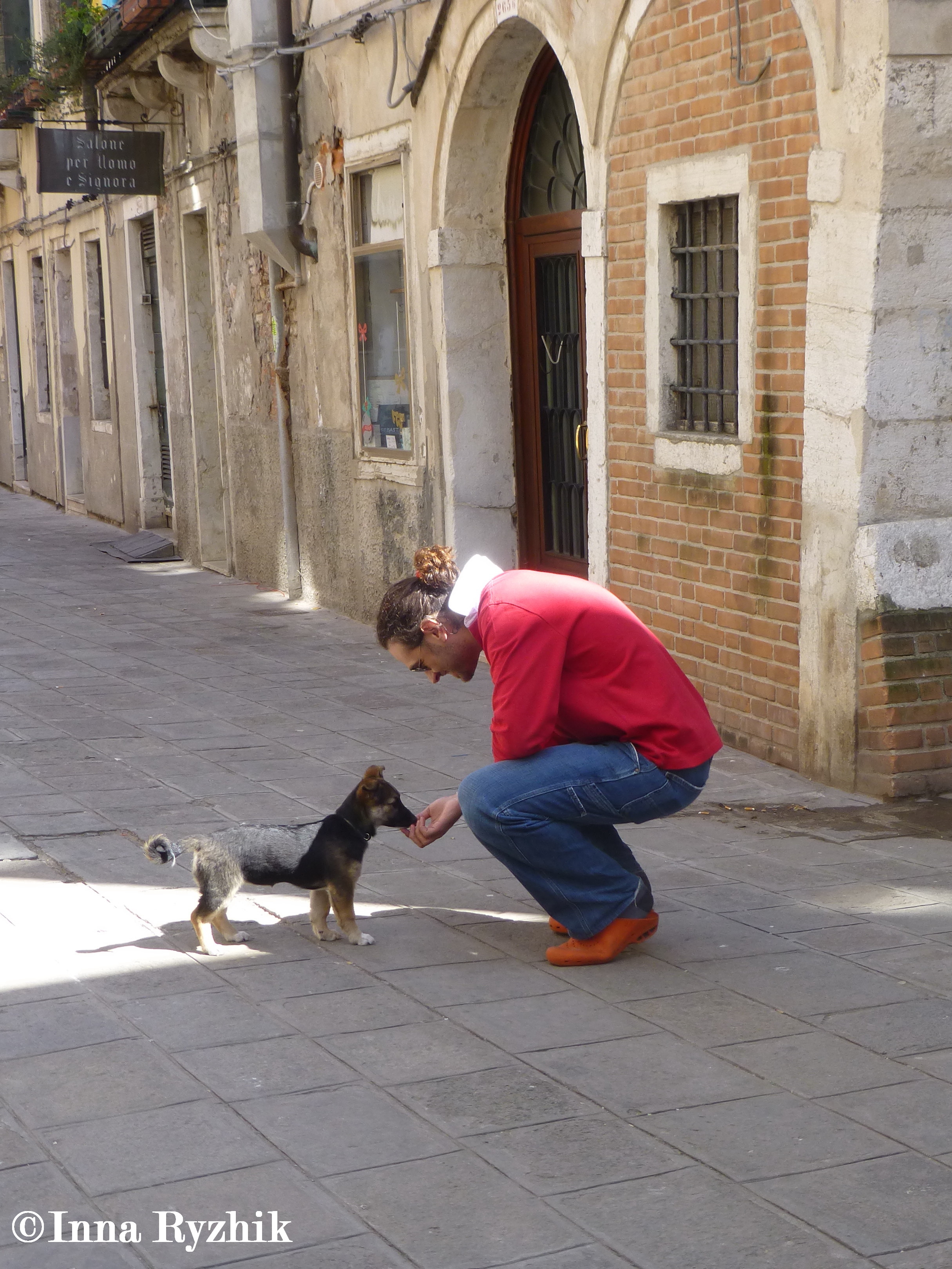 Man's Best Friend