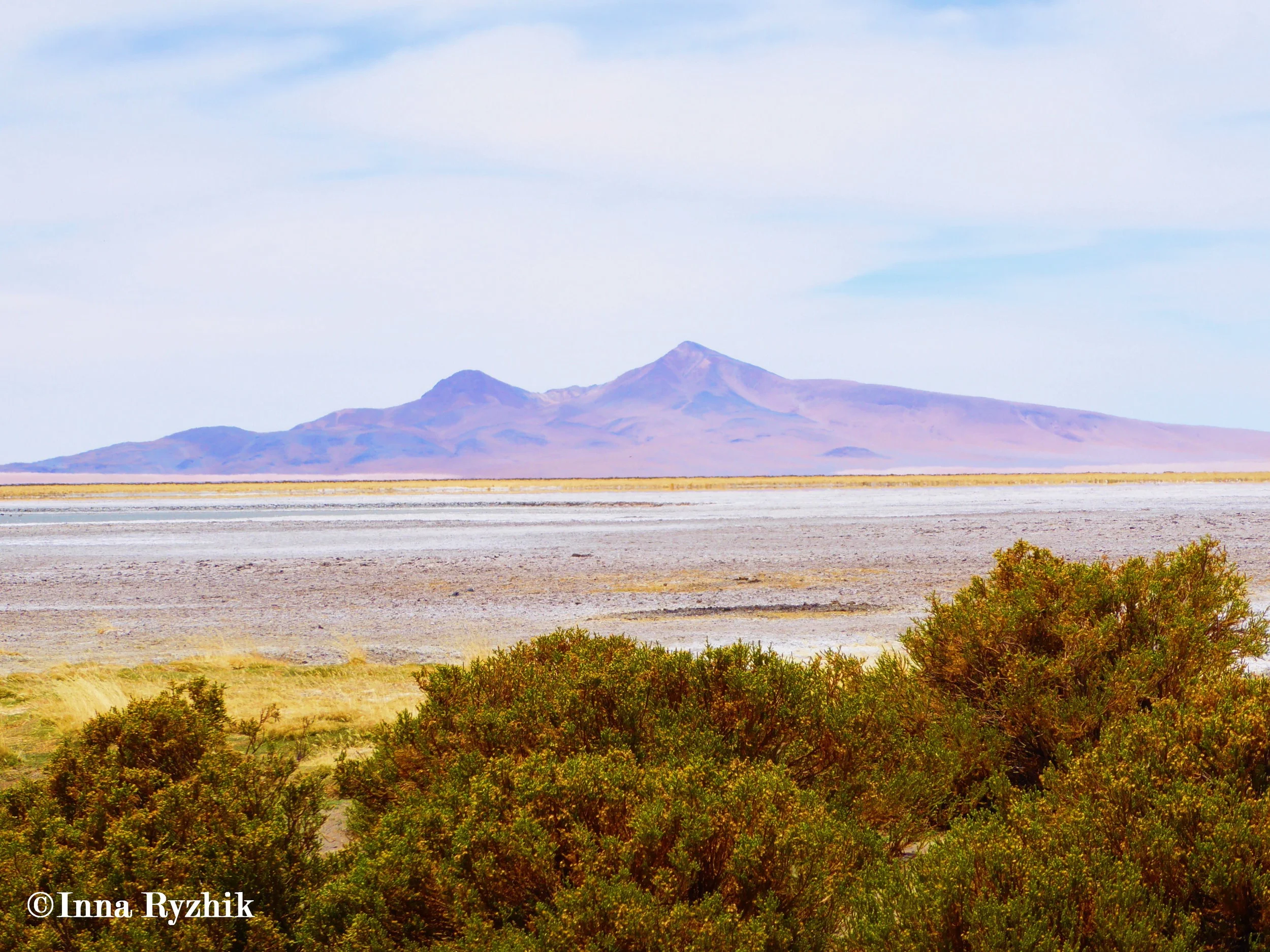 Salar de Tara - Atacama
